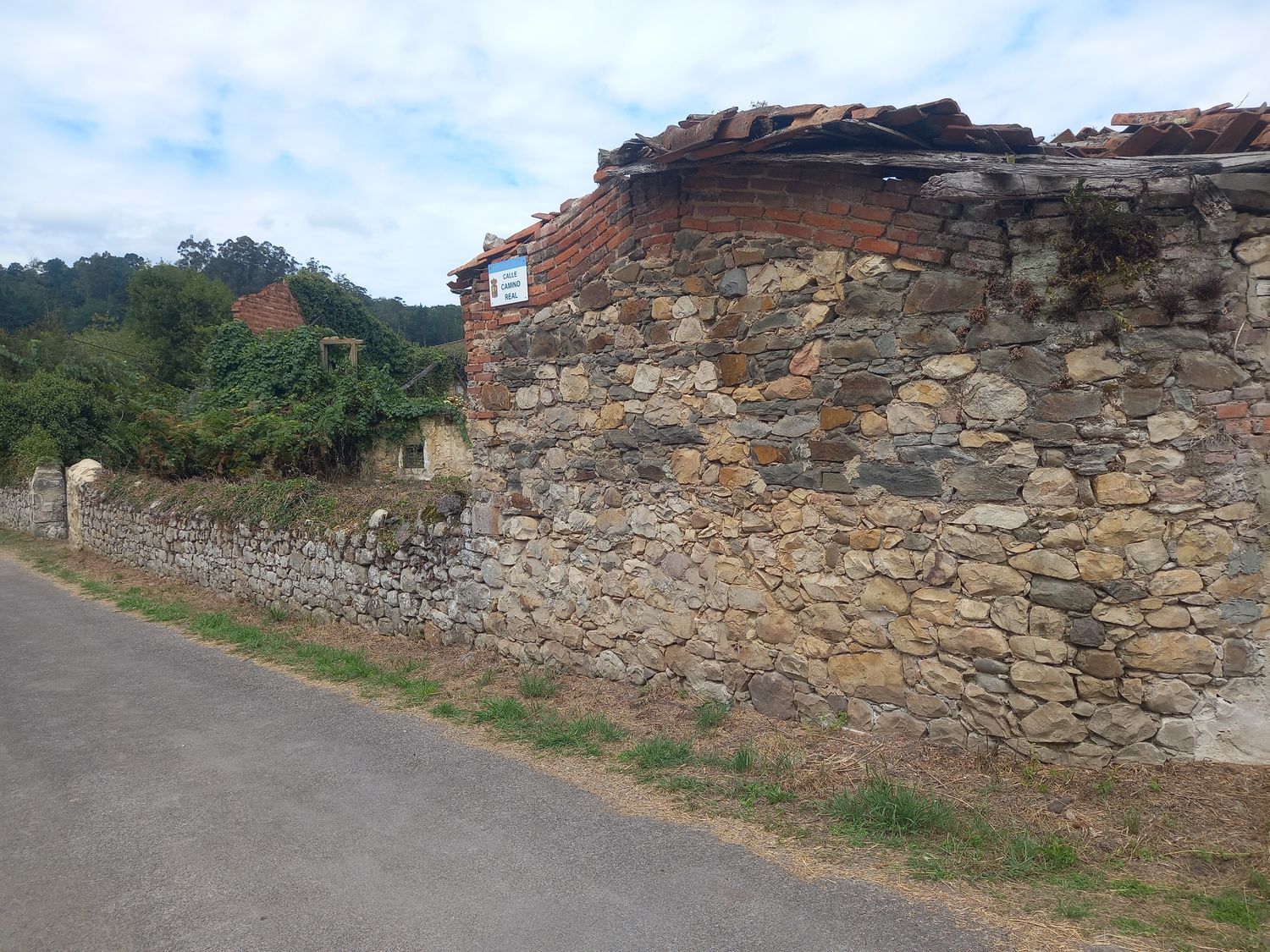 Casas o chalets-Venta-PiloÃ±a-925013-Foto-27