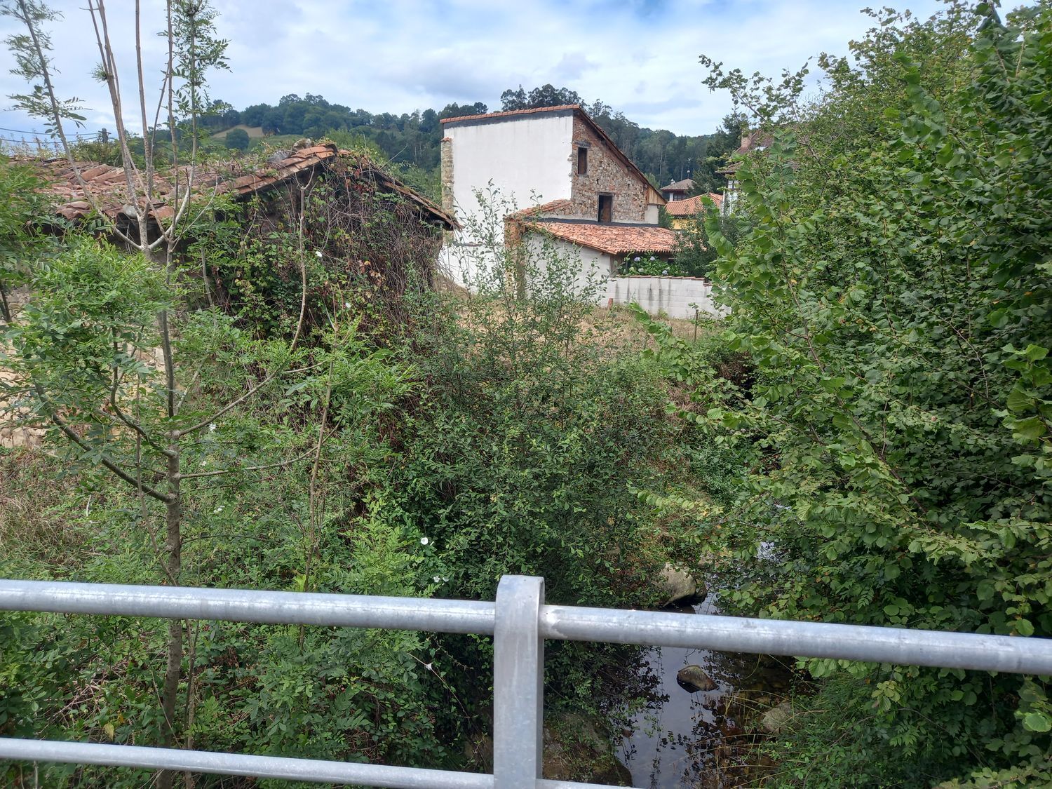 Casas o chalets-Venta-PiloÃ±a-925013-Foto-40