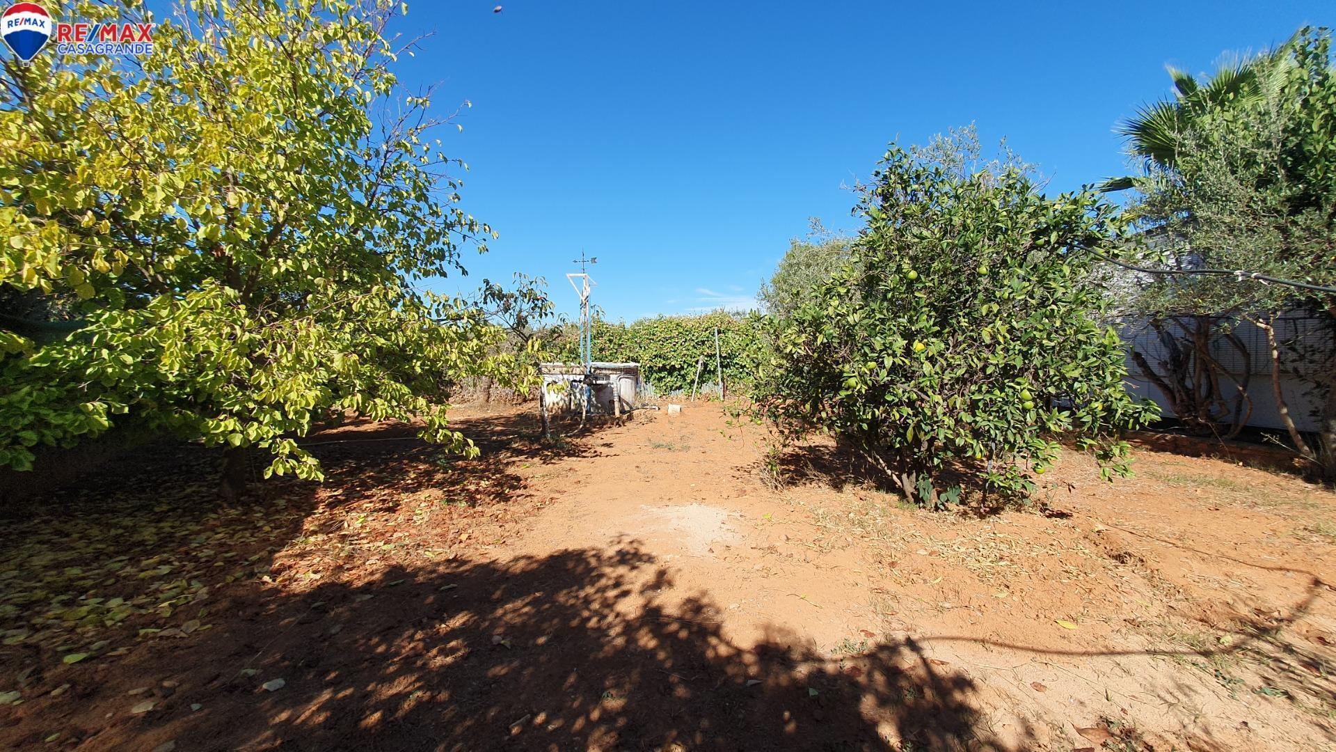 Casas o chalets-Venta-Espartinas-1424078-Foto-46