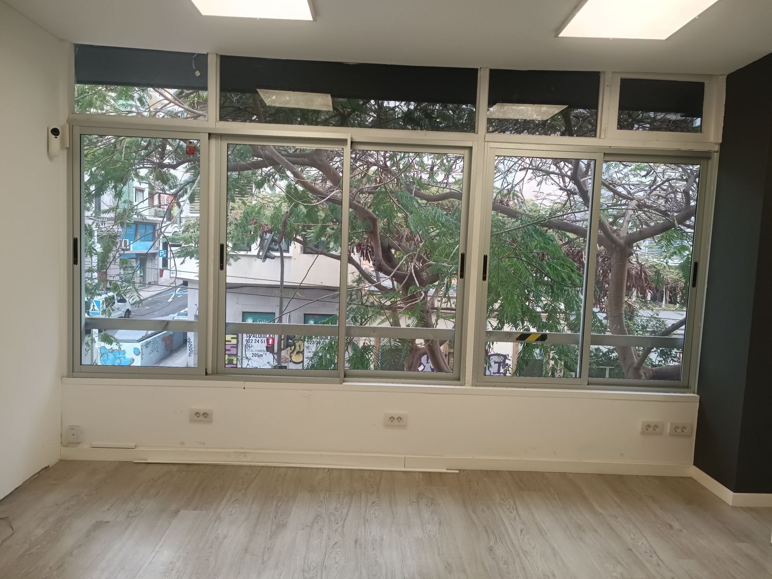 Locales-Venta-Santa Cruz de Tenerife-1765625-Foto-6