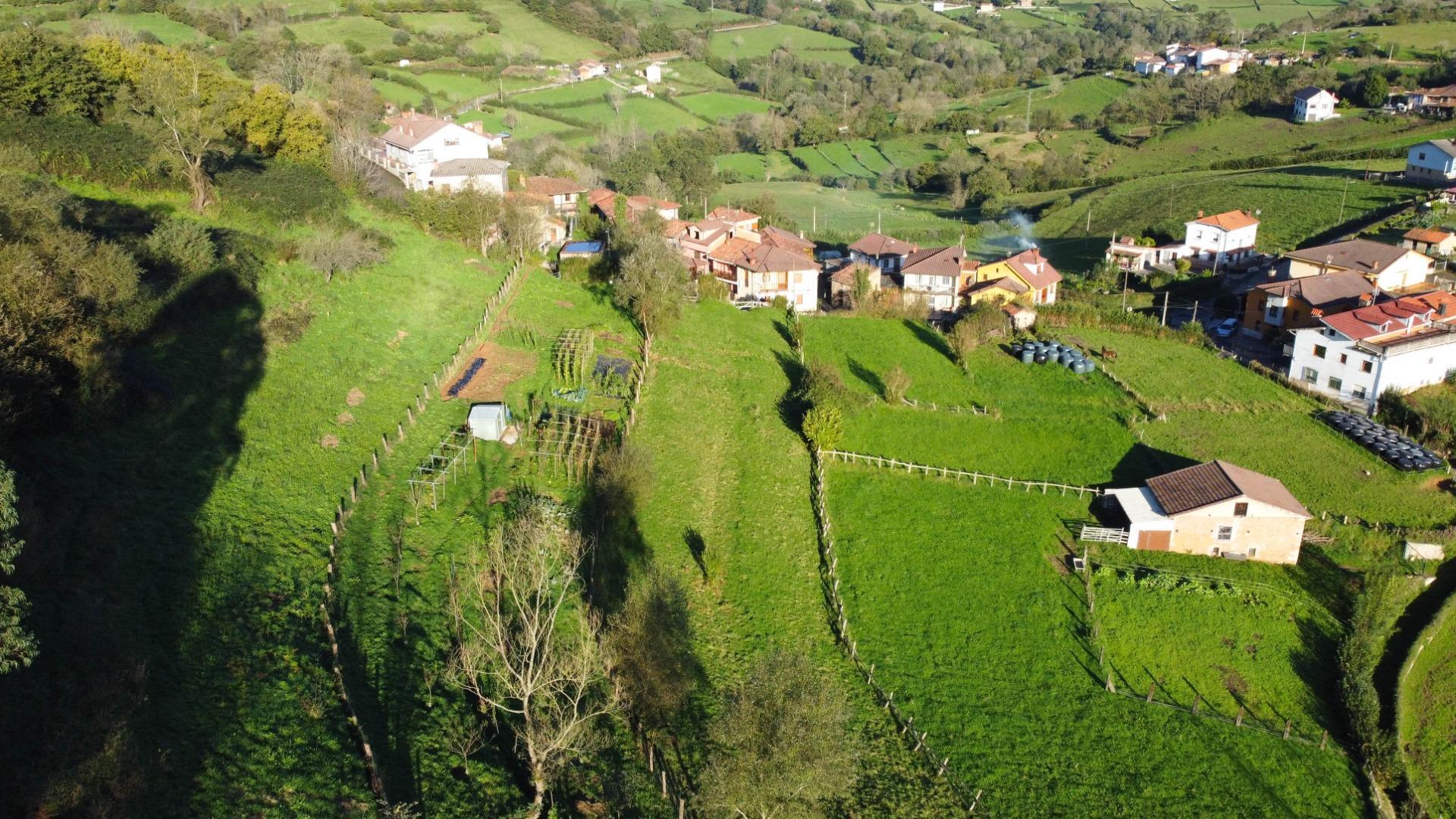 Fincas y solares-Venta-MorcÃ­n-1439980-Foto-11