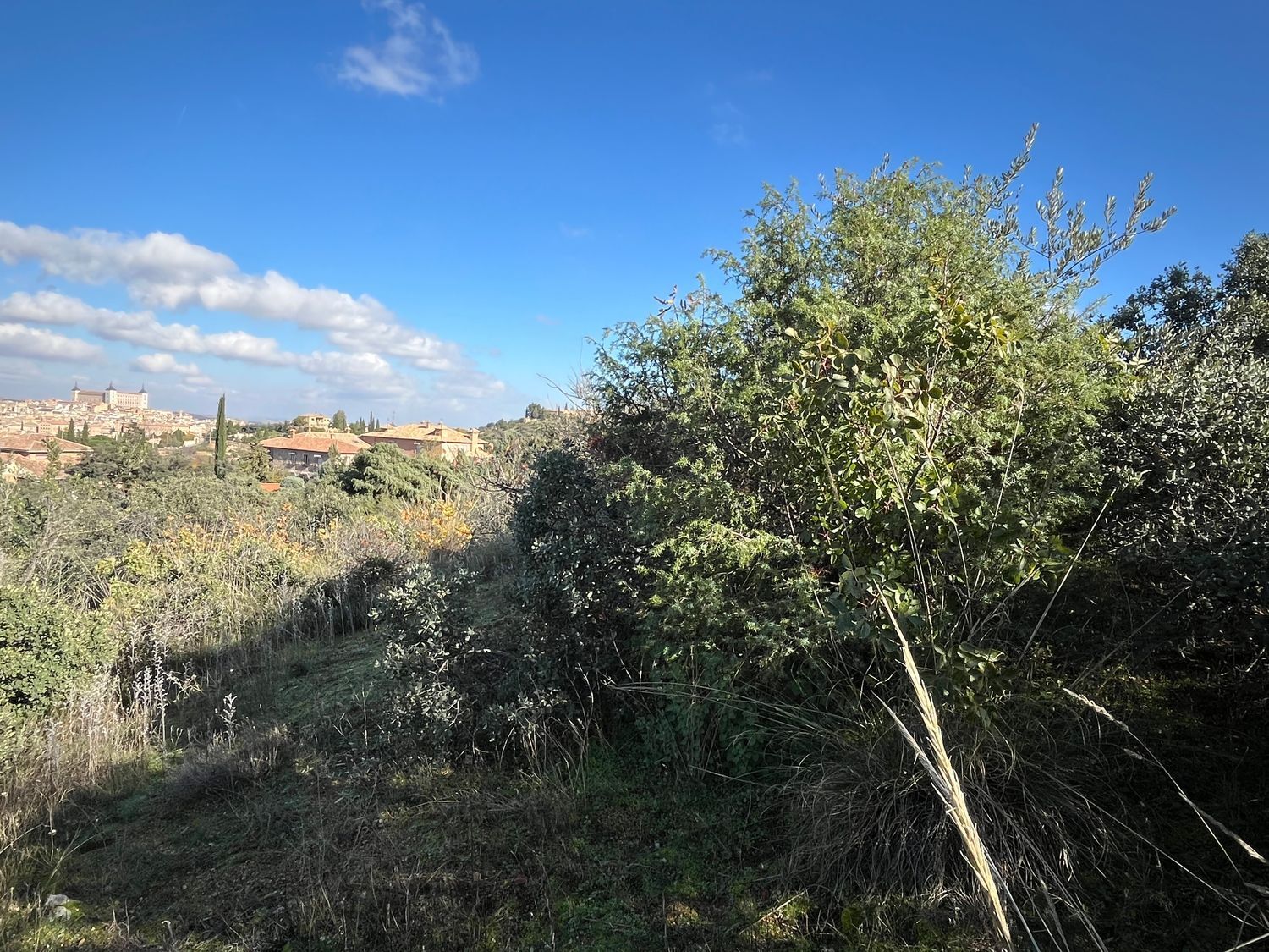 Fincas y solares-Venta-Collado Villalba-1476741-Foto-26