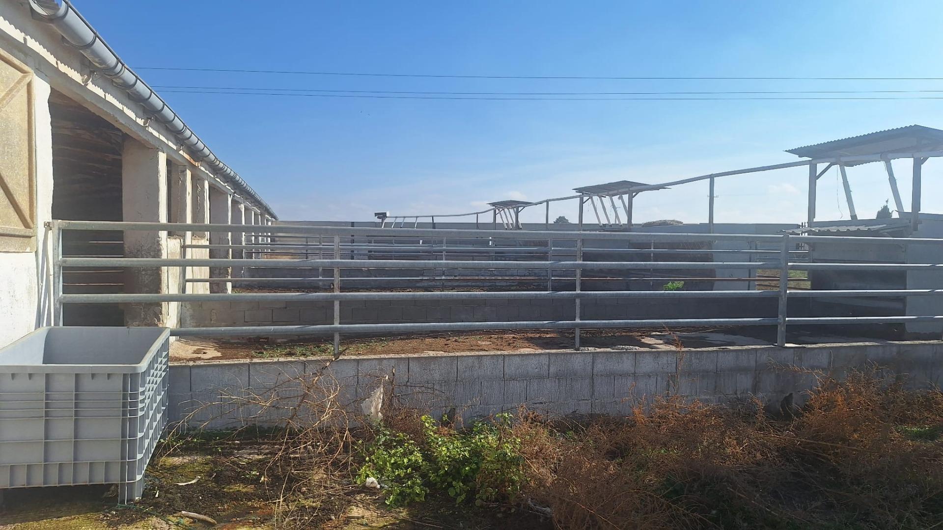 Naves-Venta-Quintanar de la Orden-1480156-Foto-15