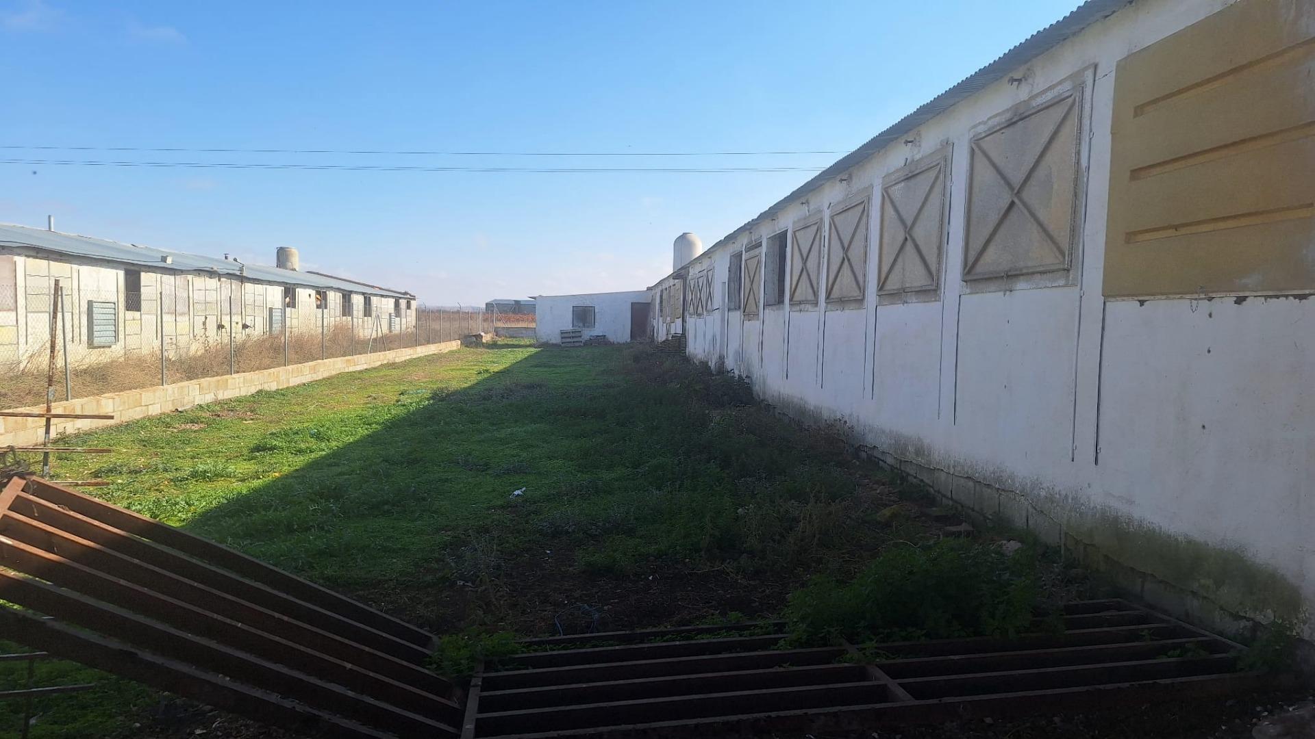 Naves-Venta-Quintanar de la Orden-1480156-Foto-21