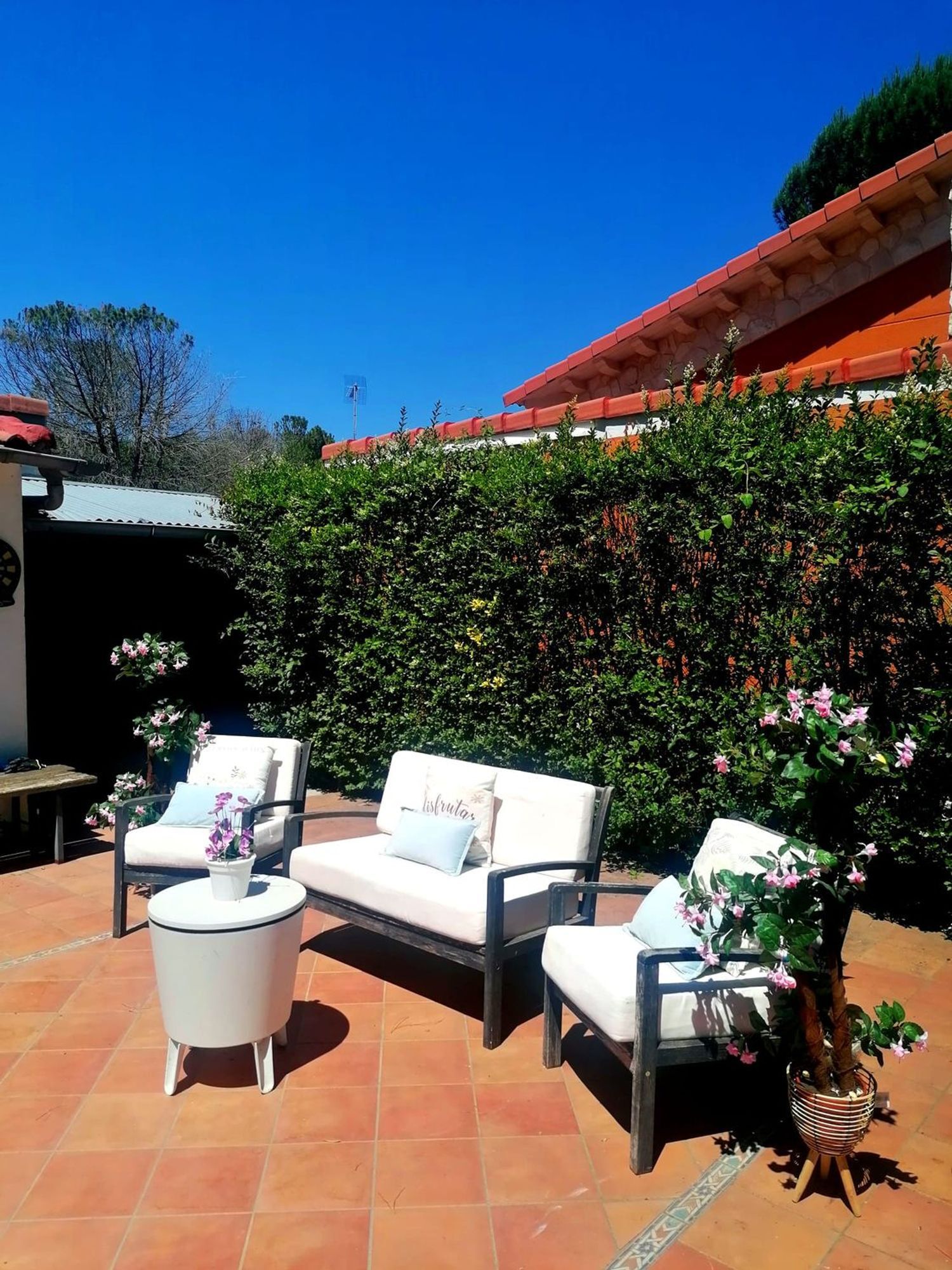 Casas o chalets-Venta-Traspinedo-1349359-Foto-13