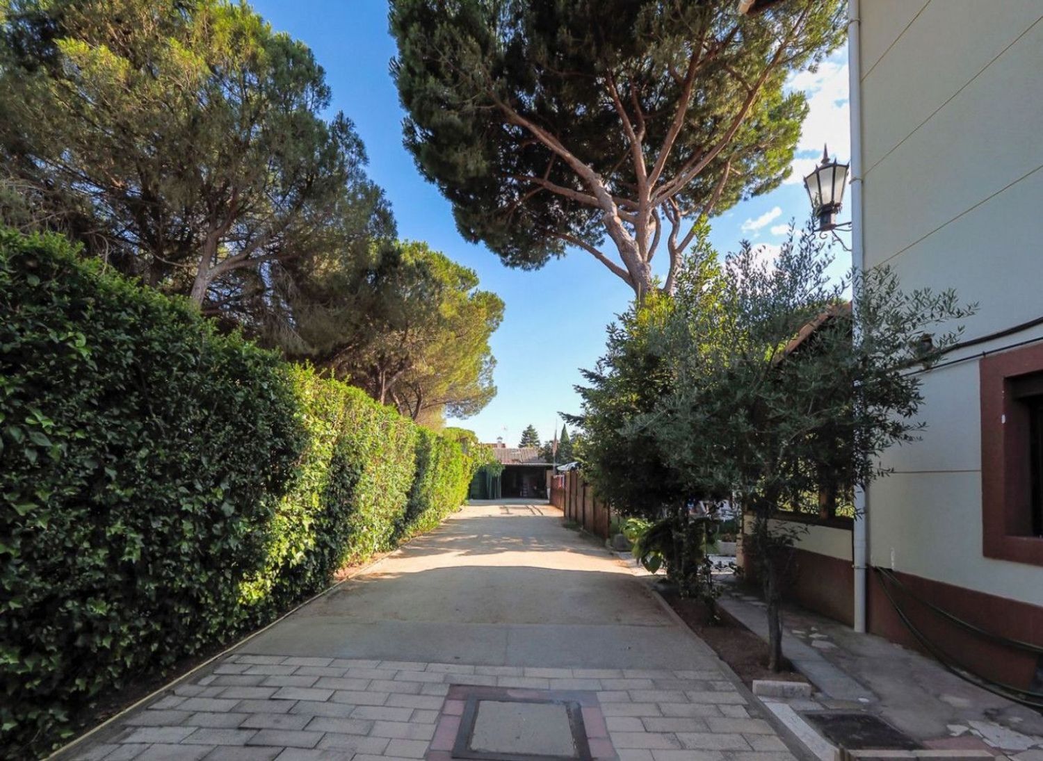 Casas o chalets-Venta-Valladolid-827564-Foto-12