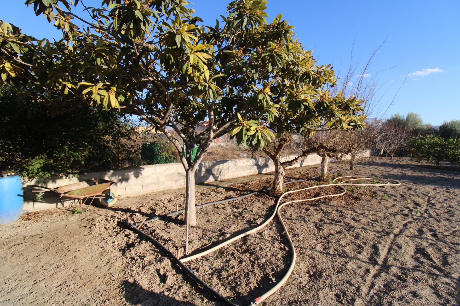 Pisos-Venta-Murcia-1712123-Foto-4