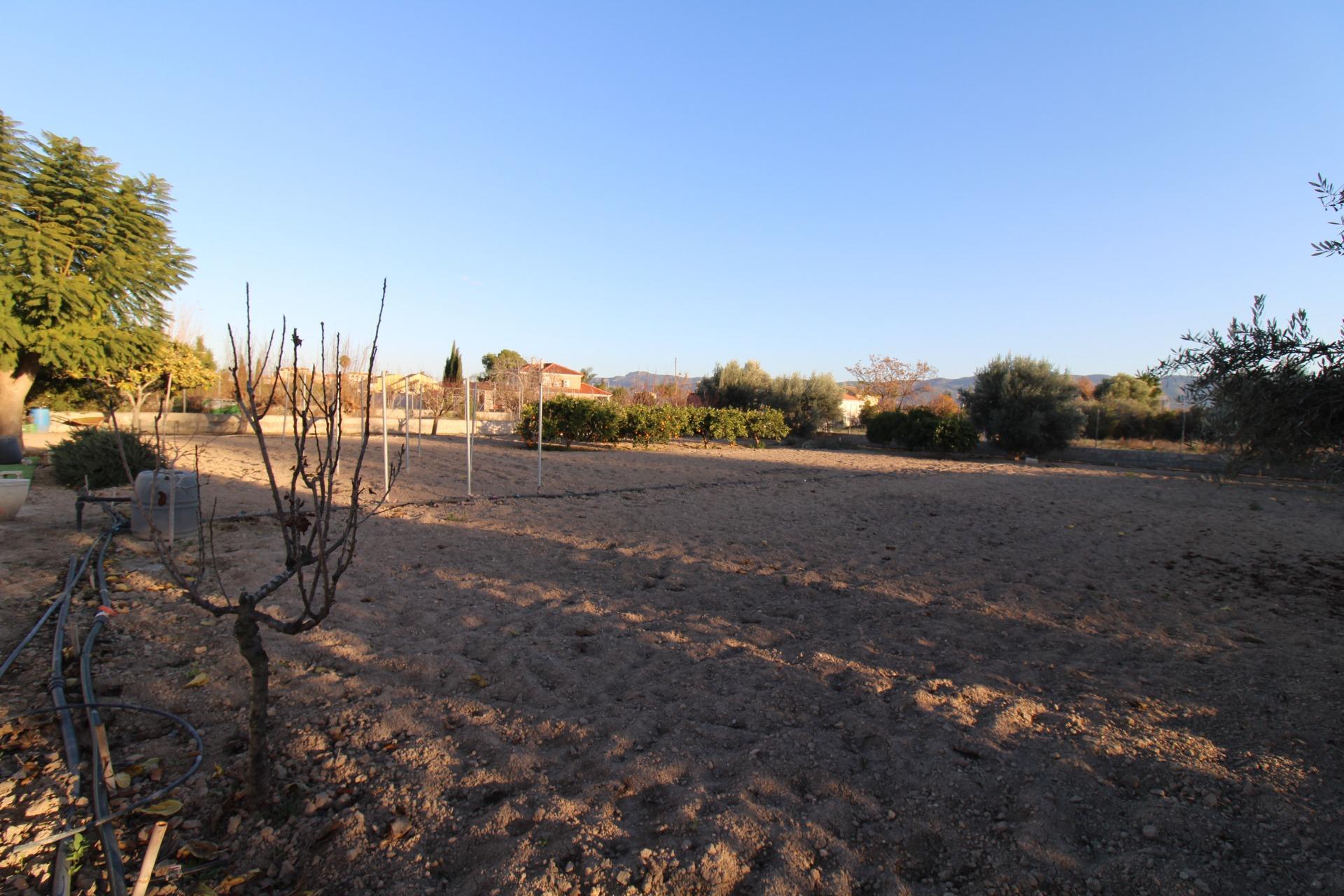 Pisos-Venta-Murcia-1712123-Foto-28