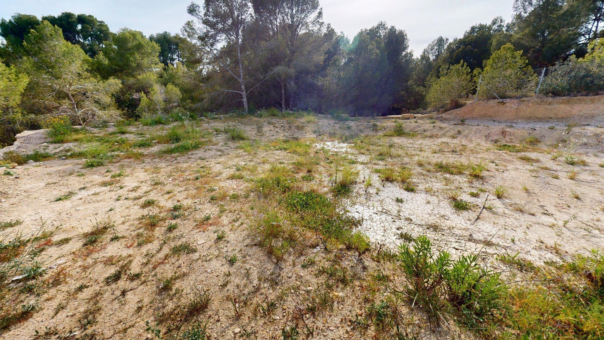 Fincas y solares-Venta-Alfas del Pi-1718889-Foto-12