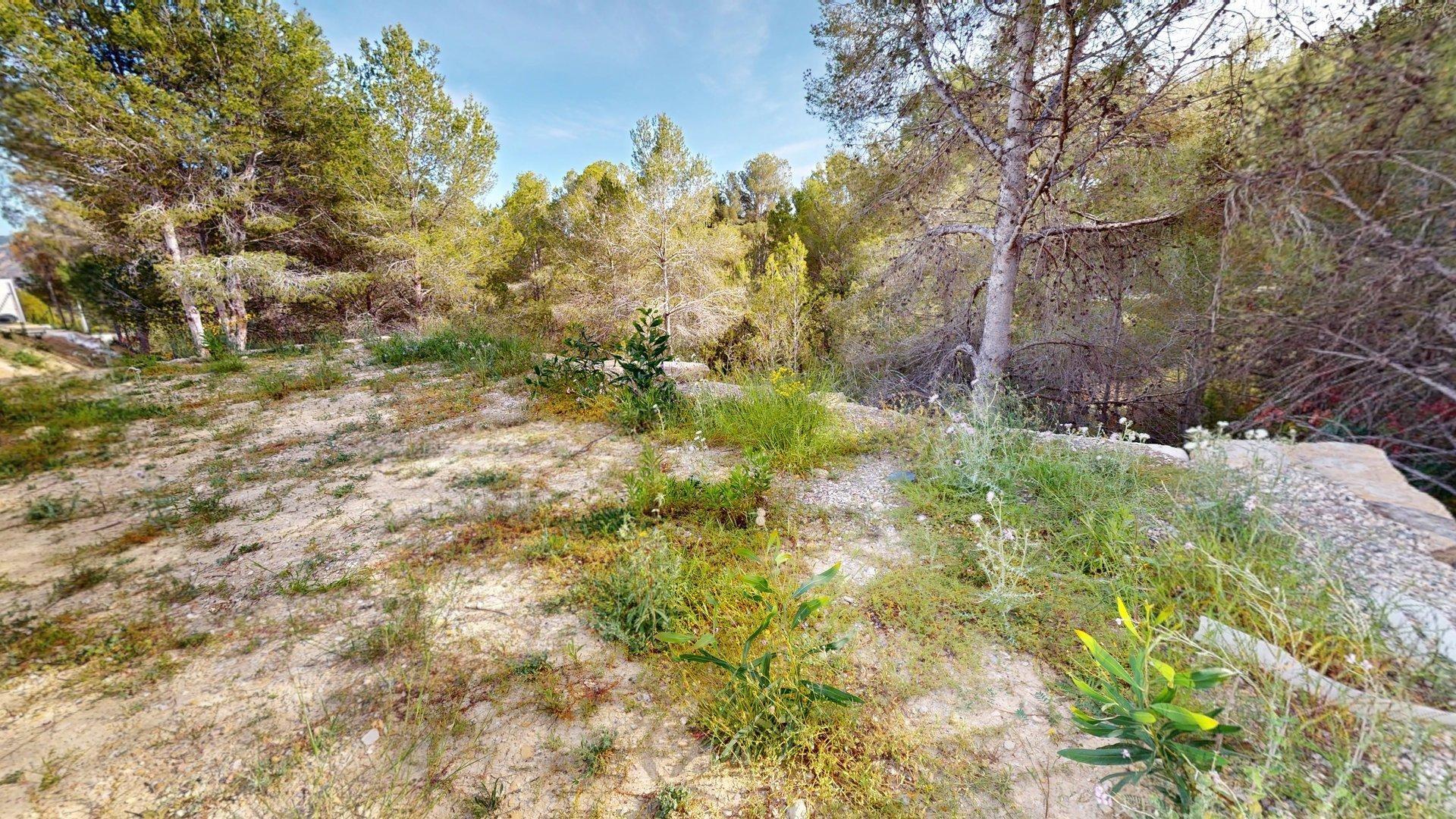Fincas y solares-Venta-Alfas del Pi-1718889-Foto-18