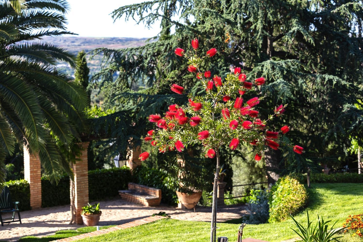 Casas o chalets-Venta-Toledo-1745647-Foto-41
