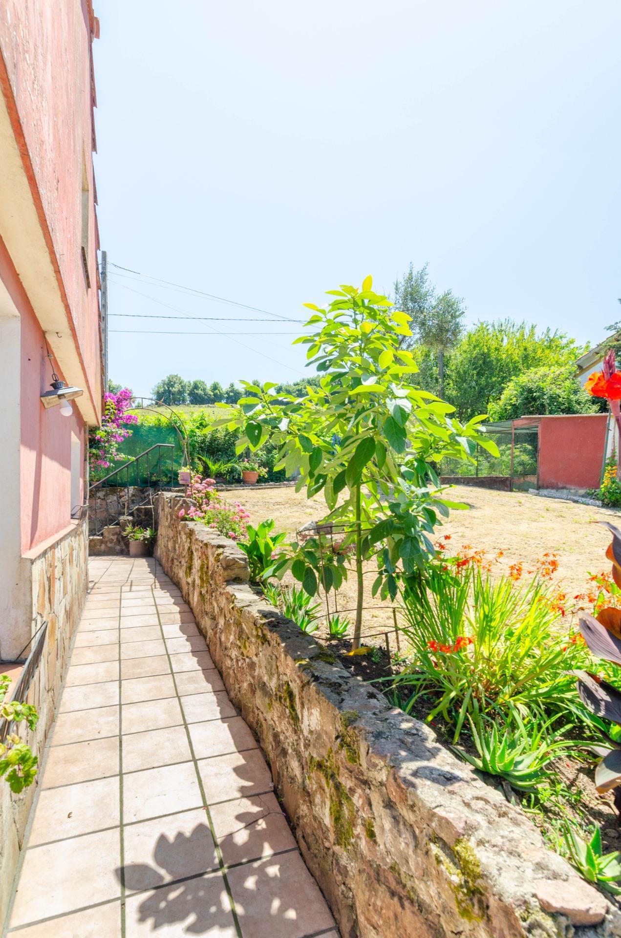 Casas o chalets-Venta-CarreÃ±o-1766304-Foto-6