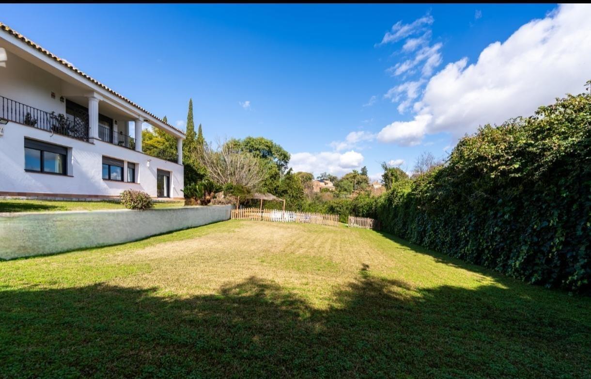 Casas o chalets-Venta-Mairena del Aljarafe-1651701-Foto-53