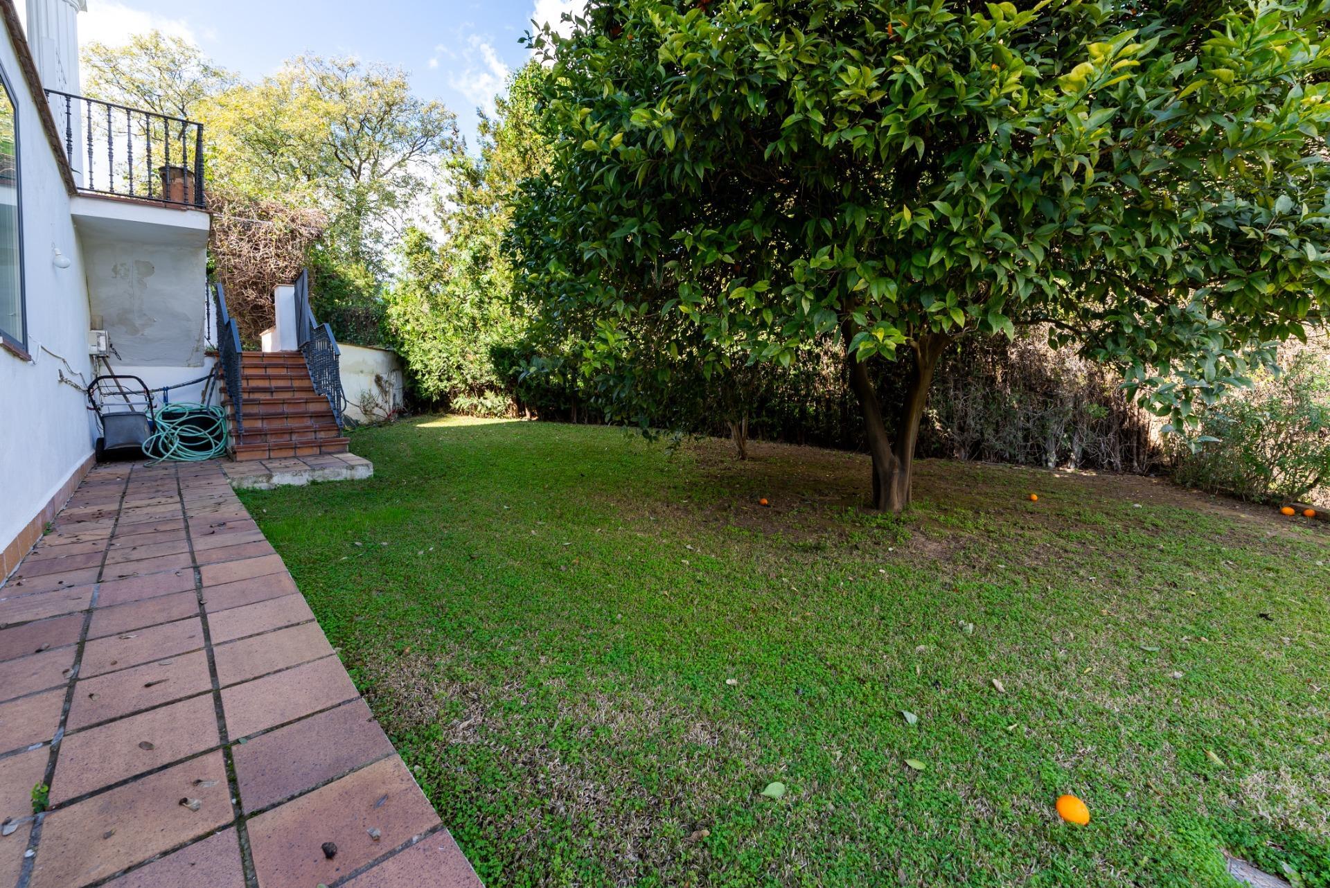 Casas o chalets-Venta-Mairena del Aljarafe-1651701-Foto-57