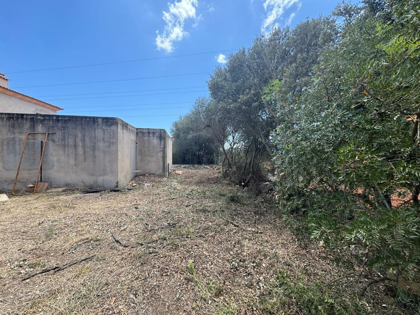 Foto 11