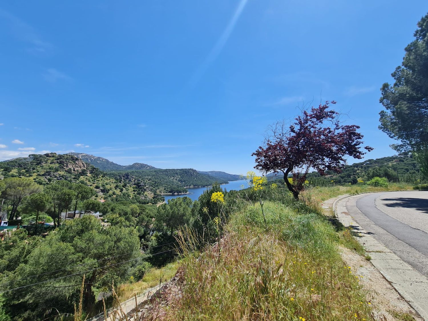 Casas o chalets-Venta-San MartÃ­n de Valdeiglesias-1454823-Foto-49