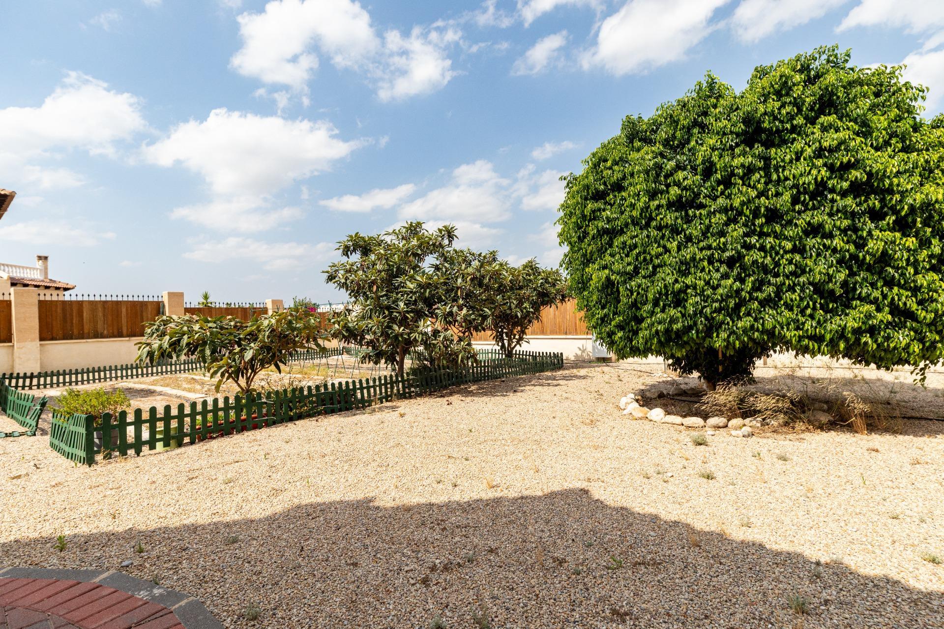Casas o chalets-Venta-Campos del RÃ­o-1766672-Foto-48