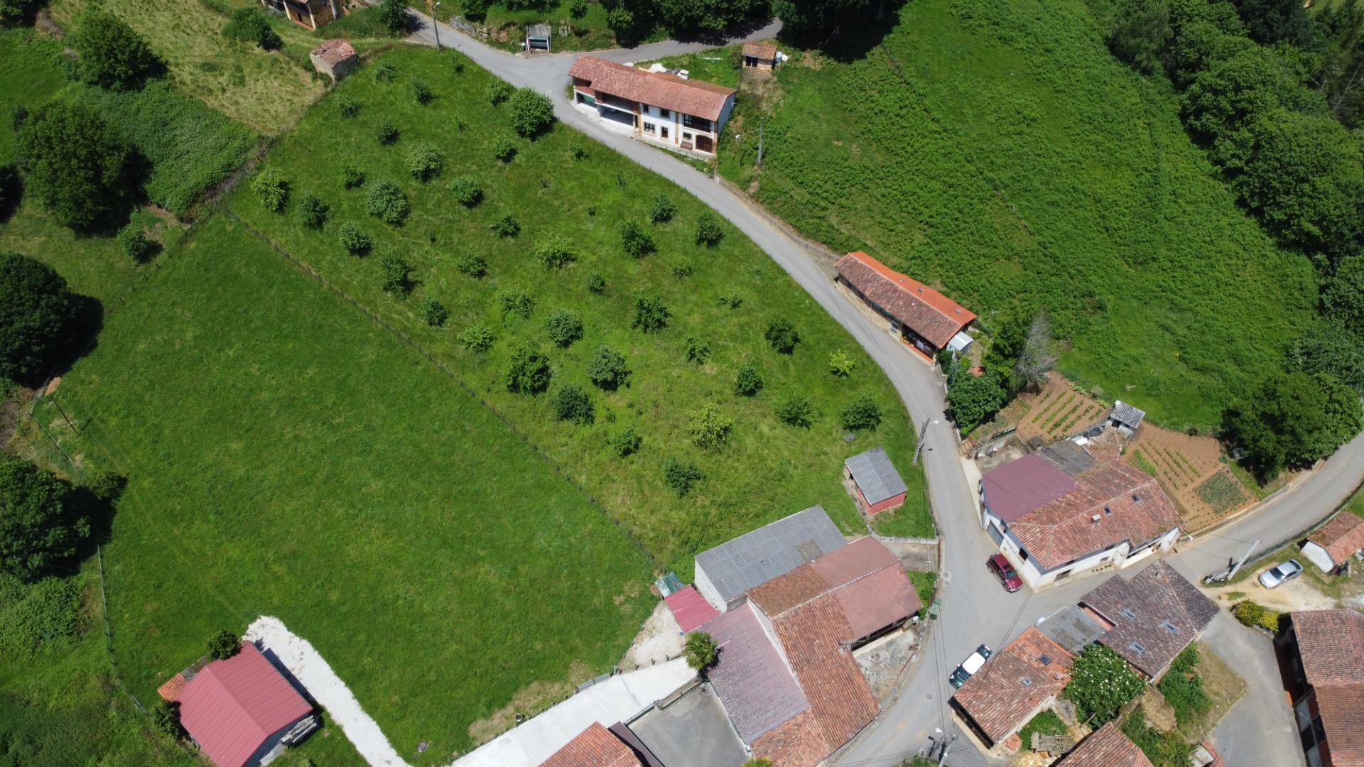 Casas o chalets-Venta-Las Navas del MarquÃ©s-1766693-Foto-41