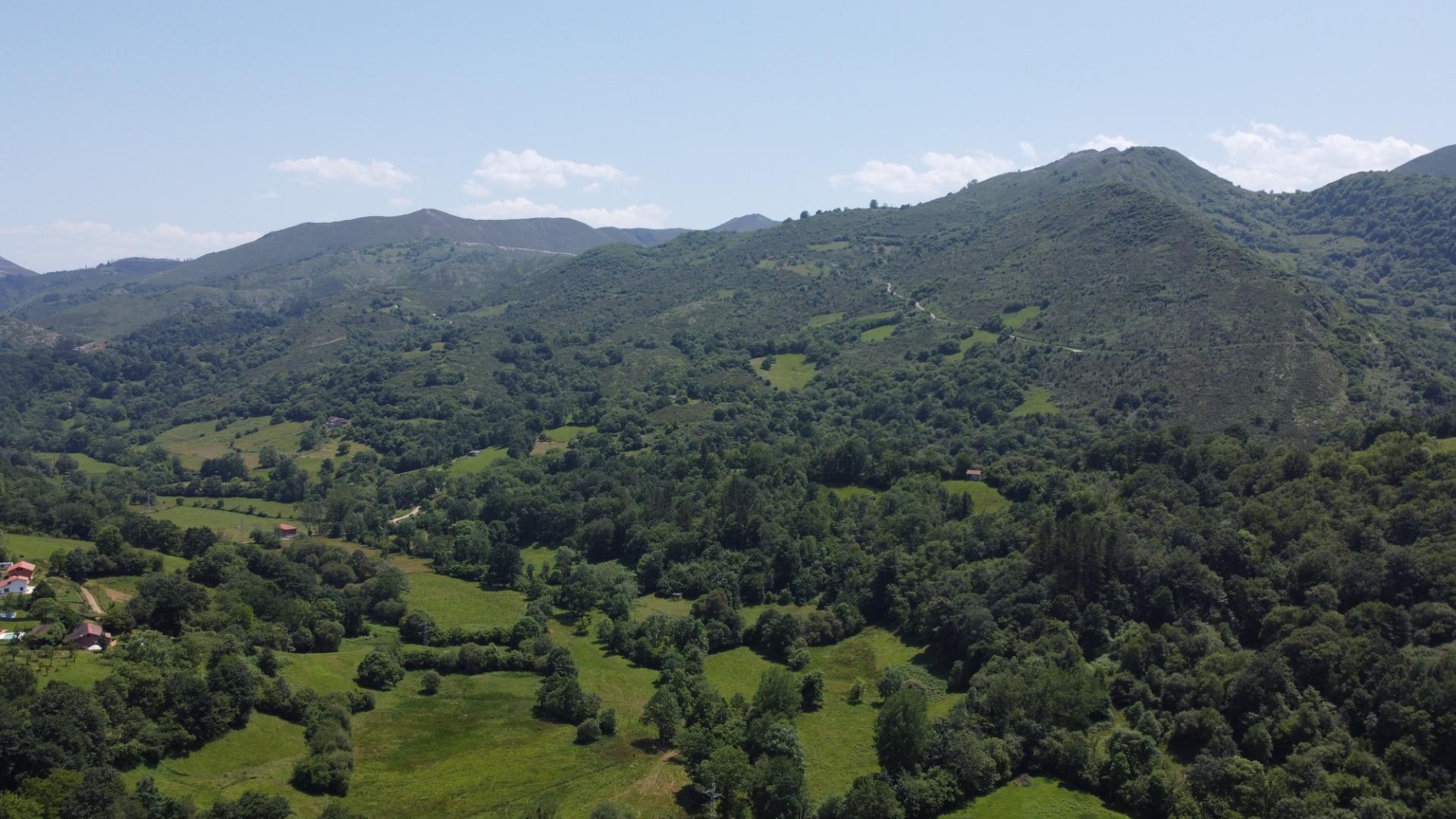 Casas o chalets-Venta-Las Navas del MarquÃ©s-1766693-Foto-46