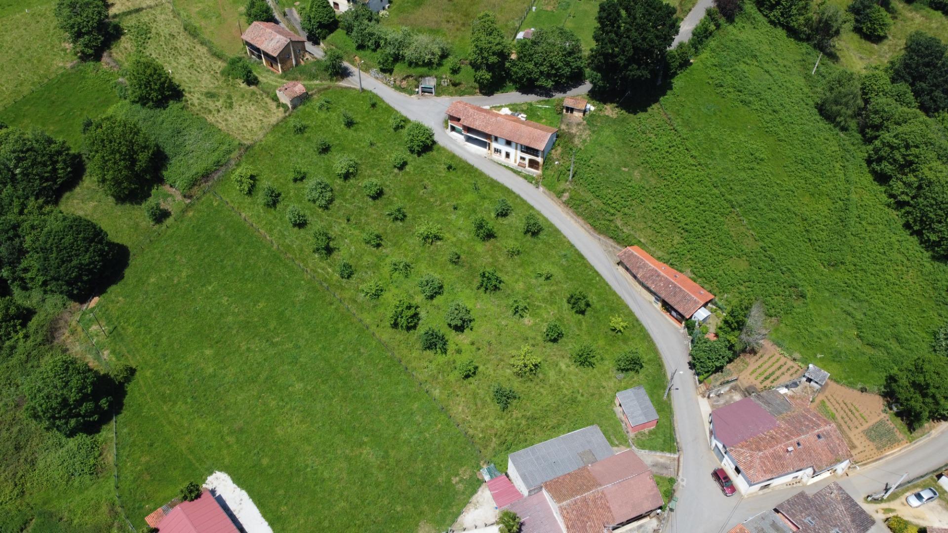 Casas o chalets-Venta-Las Navas del MarquÃ©s-1766693-Foto-50
