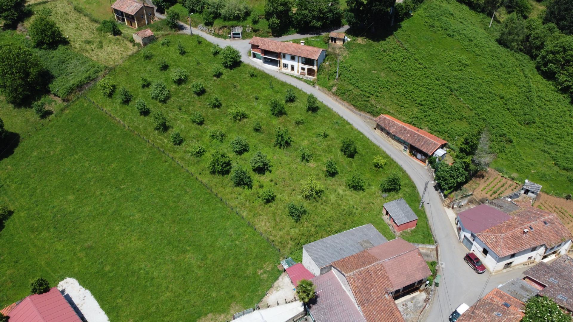 Casas o chalets-Venta-Las Navas del MarquÃ©s-1766693-Foto-52