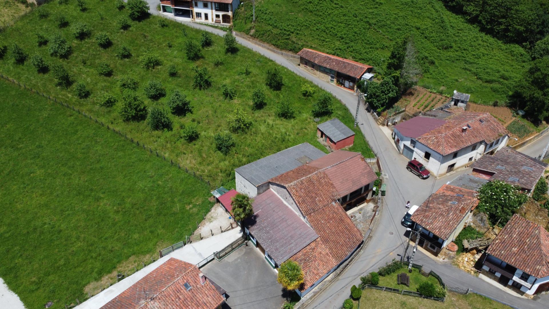 Casas o chalets-Venta-Las Navas del MarquÃ©s-1766693-Foto-51