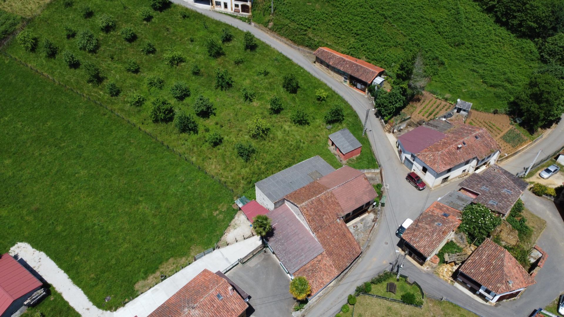 Casas o chalets-Venta-Las Navas del MarquÃ©s-1766693-Foto-53