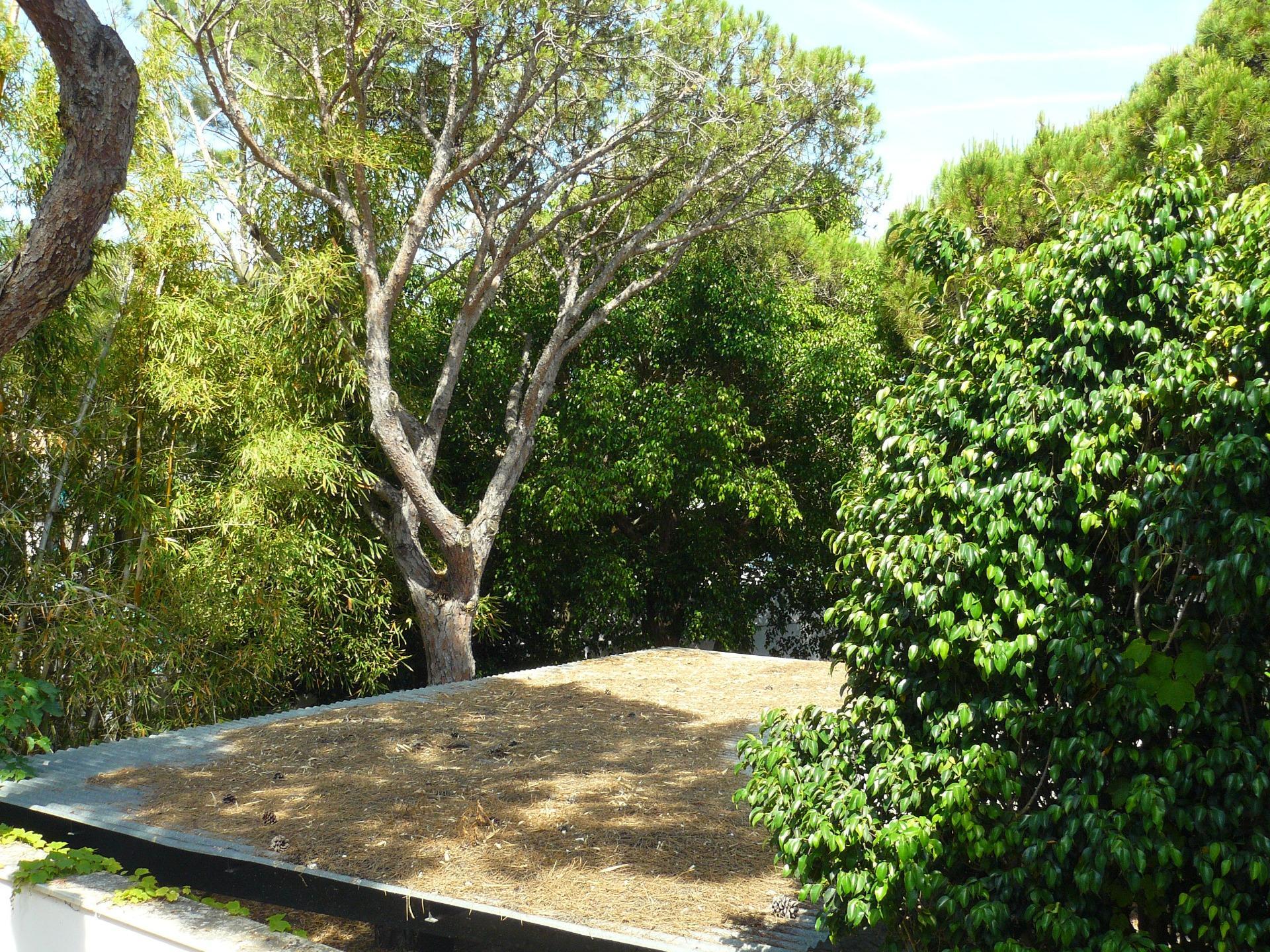 Edificios-Venta-Chiclana de la Frontera-1764827-Foto-2