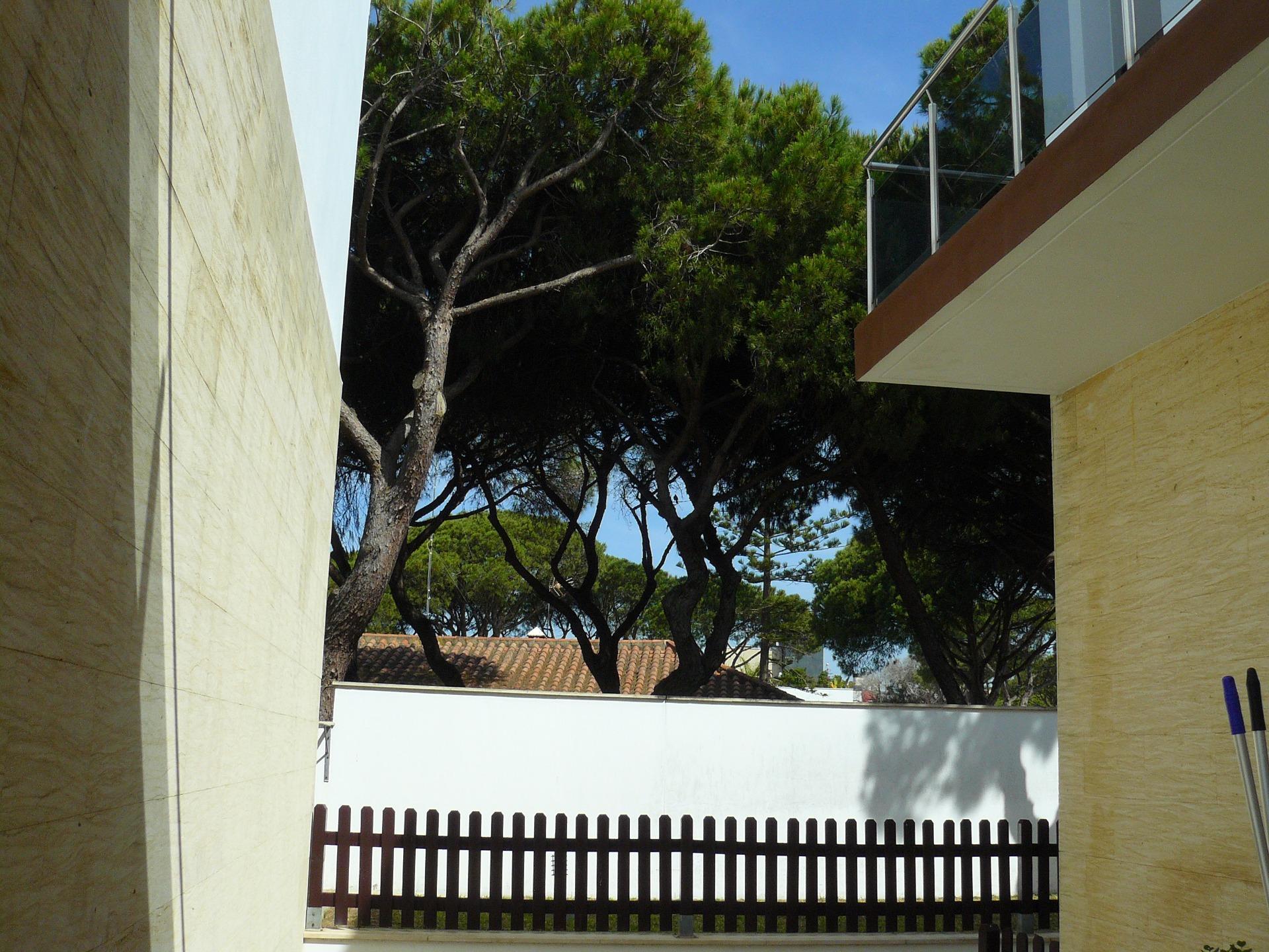 Edificios-Venta-Chiclana de la Frontera-1764827-Foto-11