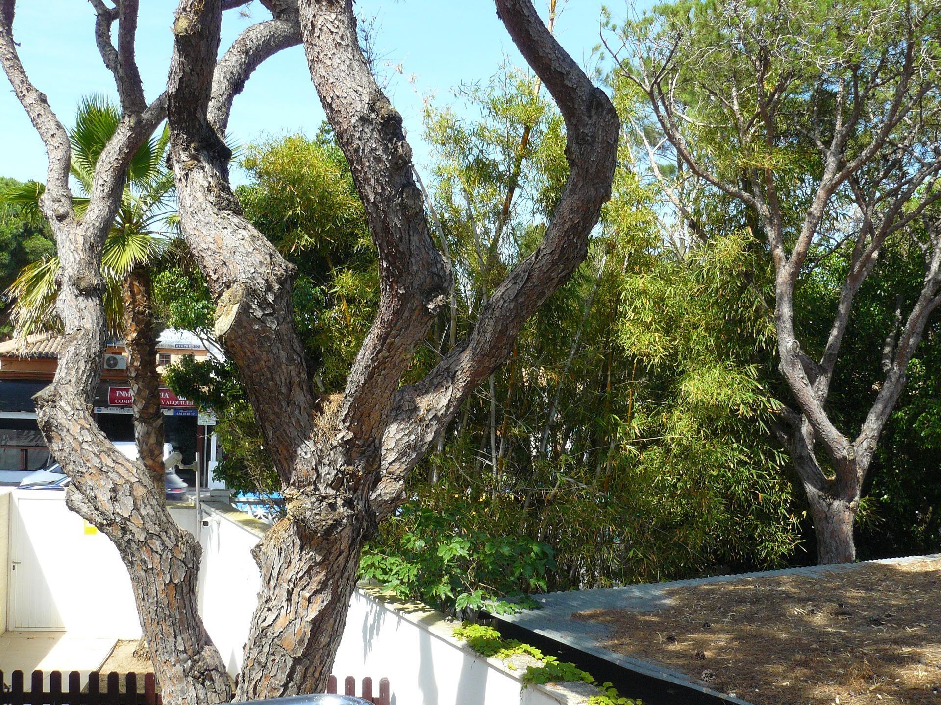 Edificios-Venta-Chiclana de la Frontera-1764827-Foto-12