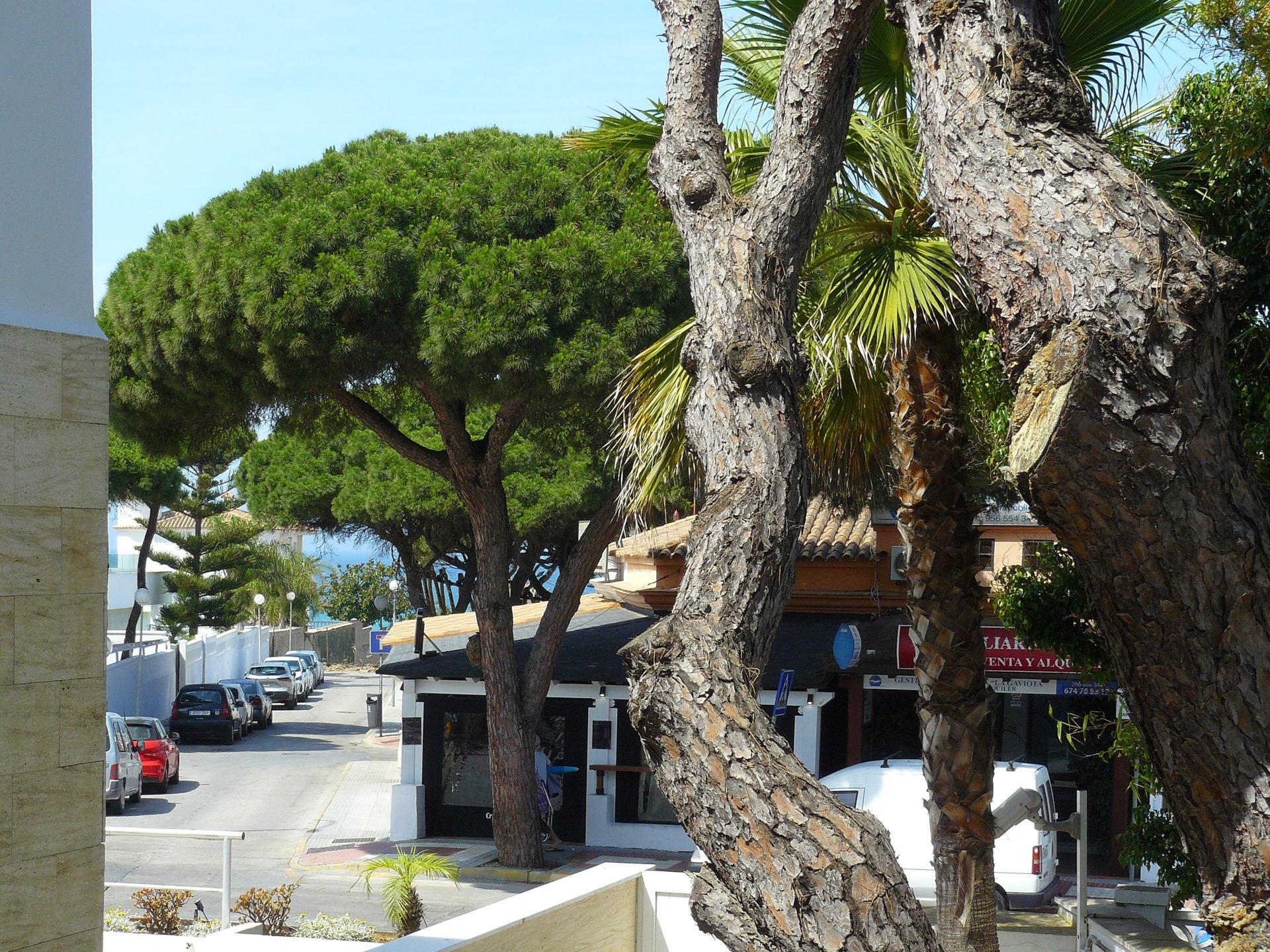 Edificios-Venta-Chiclana de la Frontera-1764827-Foto-13