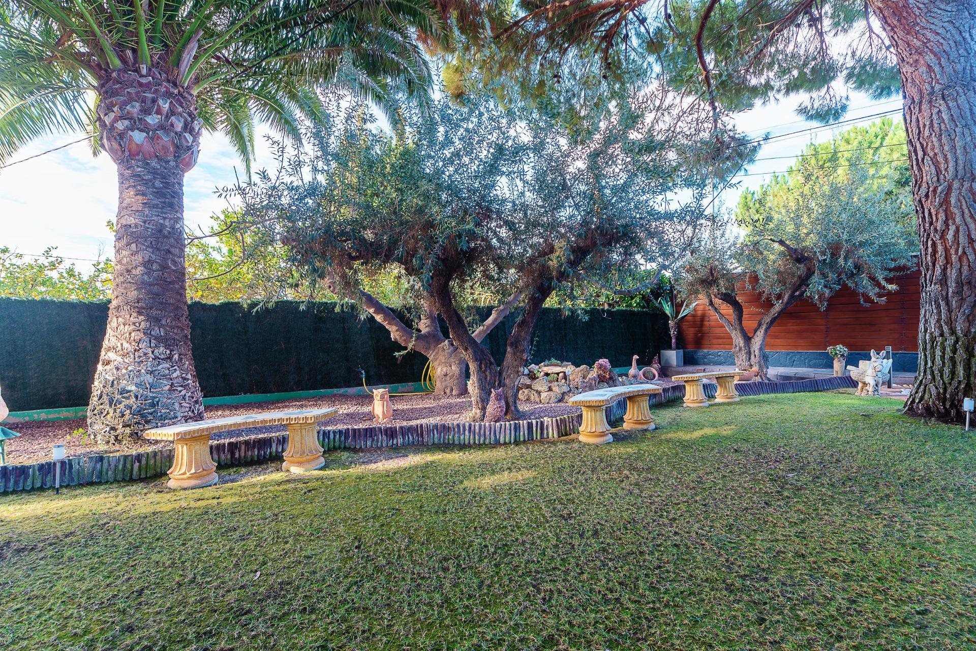 Casas o chalets-Venta-Elda-1587410-Foto-11