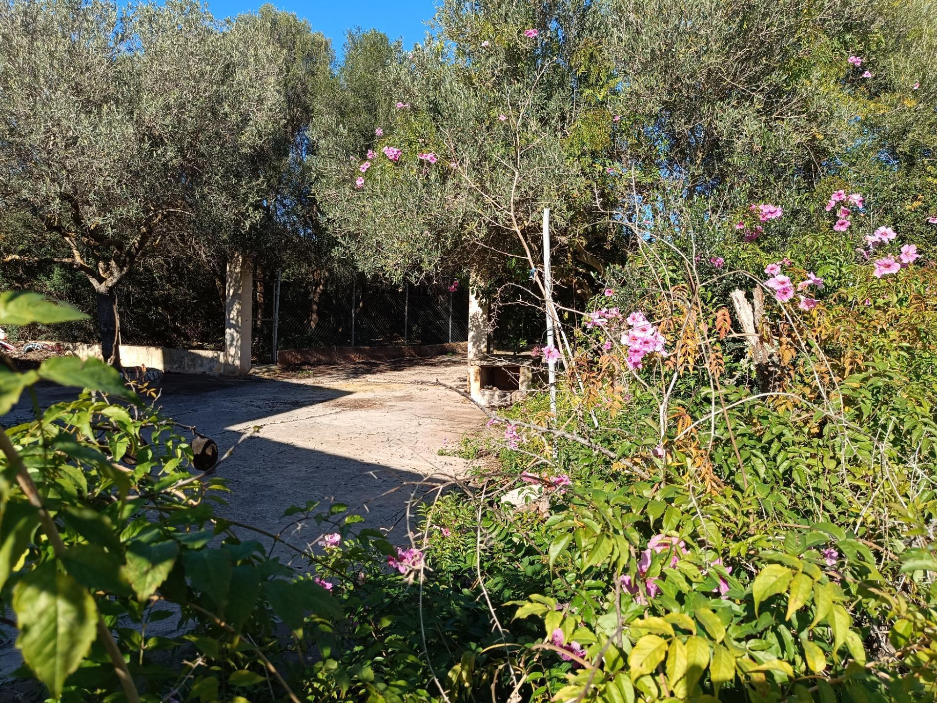 Pisos-Venta-Sant LlorenÃ§ des Cardassar-1748224-Foto-42