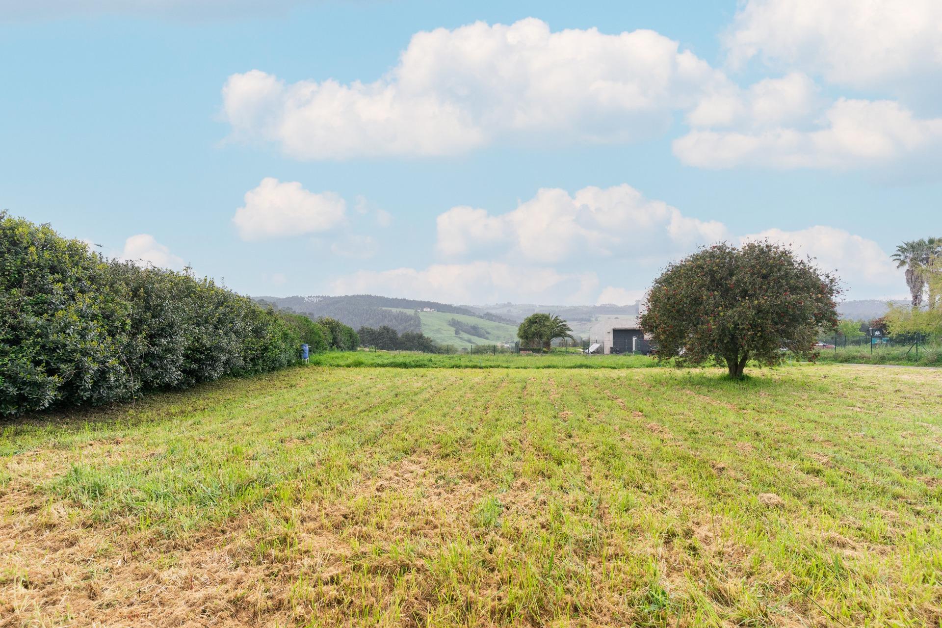 Fincas y solares-Venta-1717652