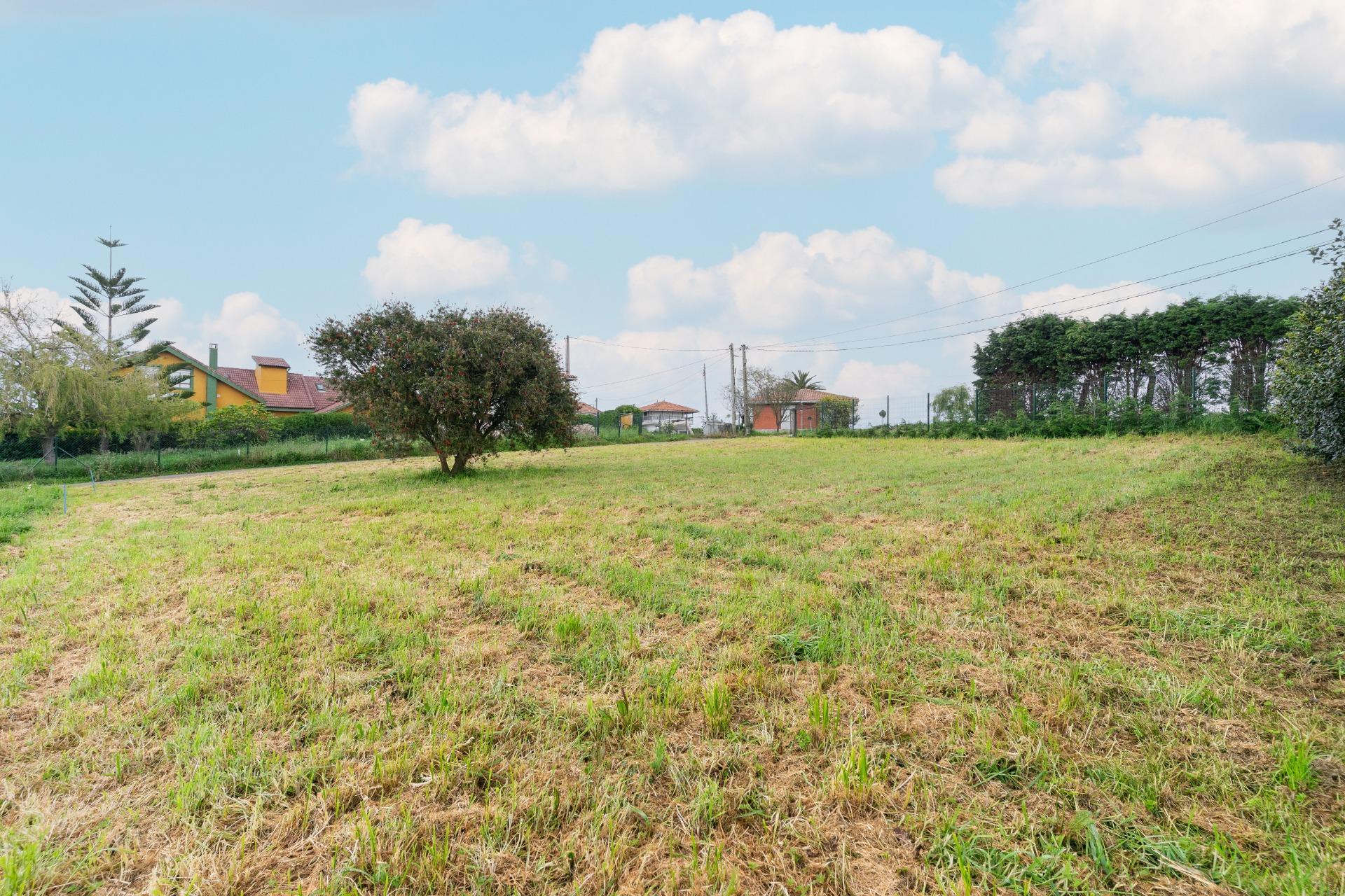 Fincas y solares-Venta-GozÃ³n-1717652-Foto-5