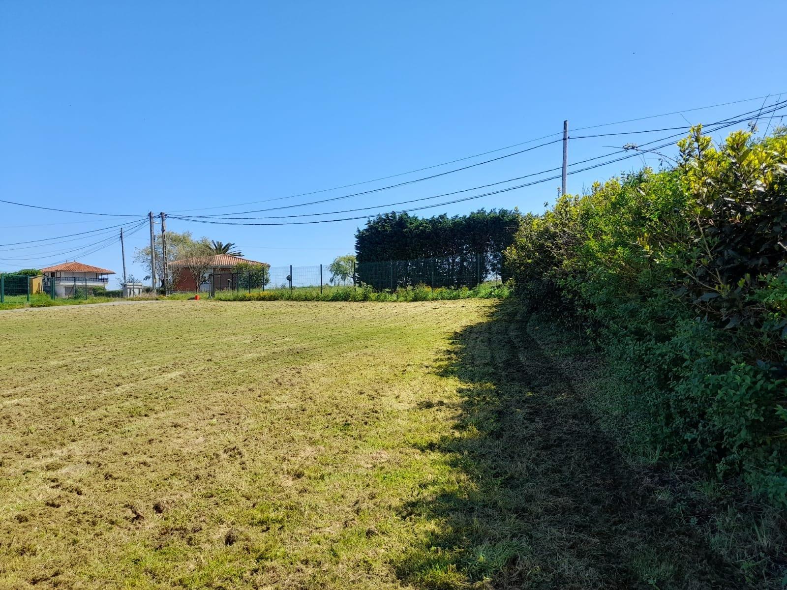 Fincas y solares-Venta-GozÃ³n-1717652-Foto-6