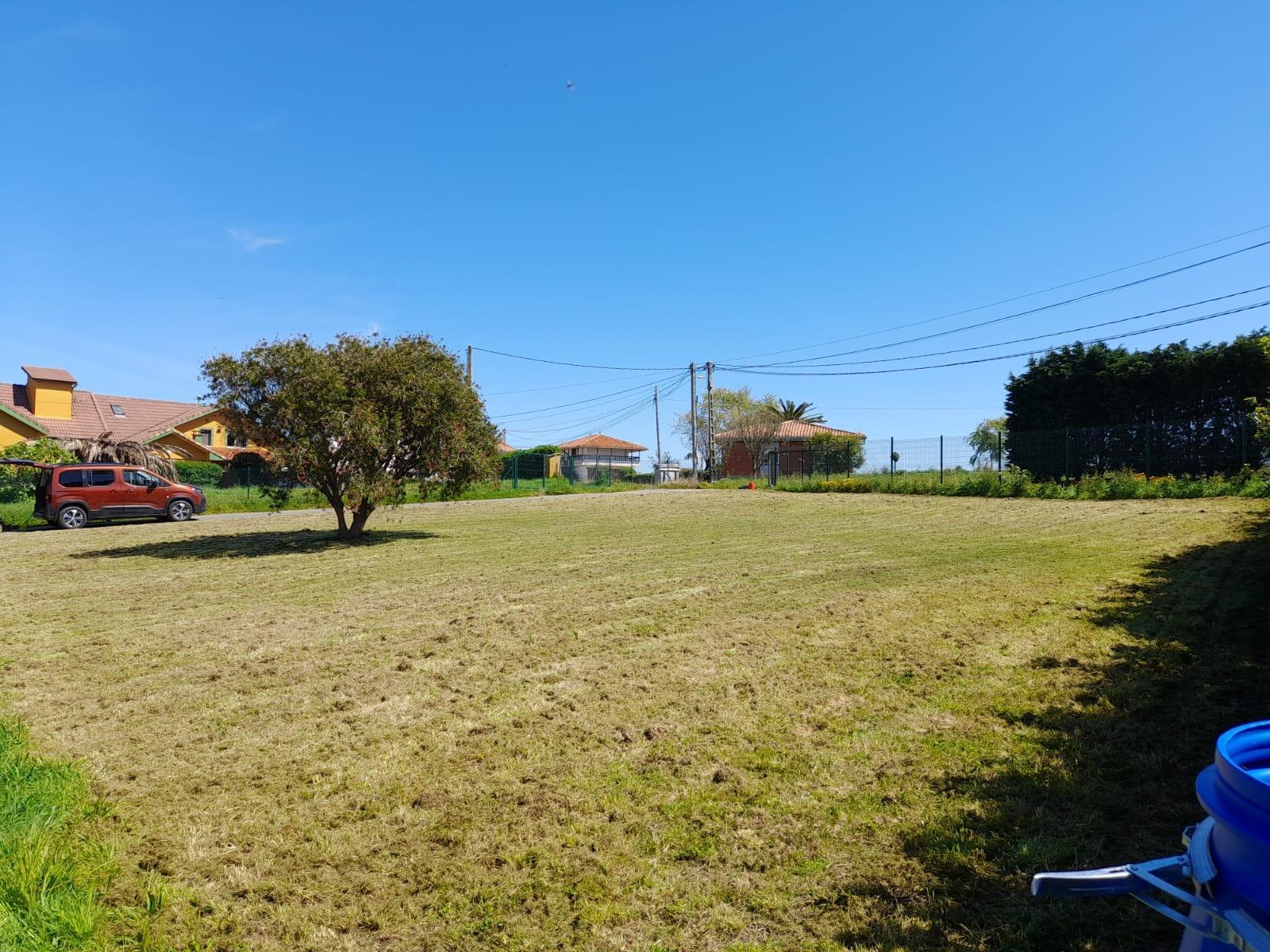 Fincas y solares-Venta-GozÃ³n-1717652-Foto-9