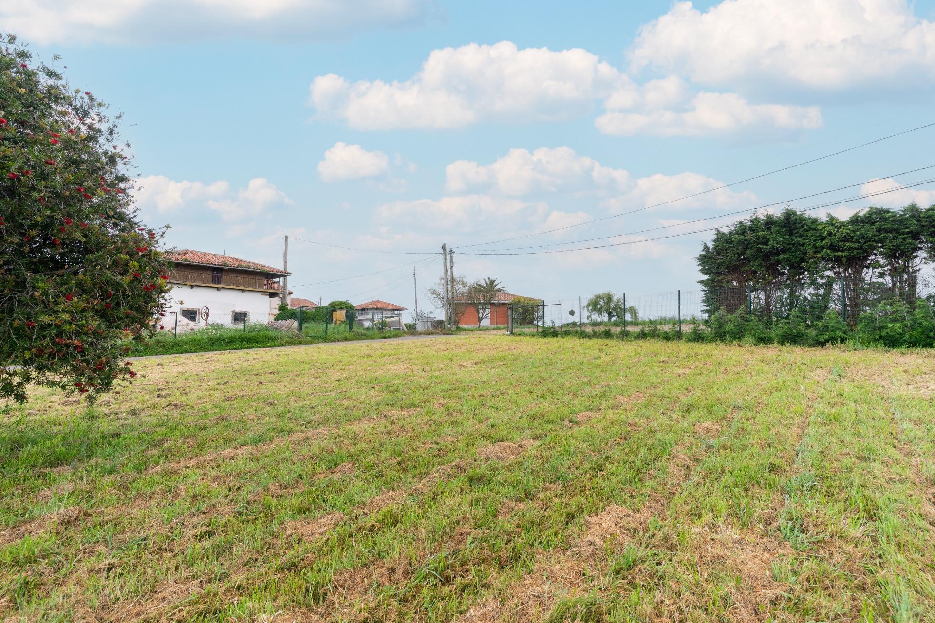 Fincas y solares-Venta-GozÃ³n-1717652-Foto-11