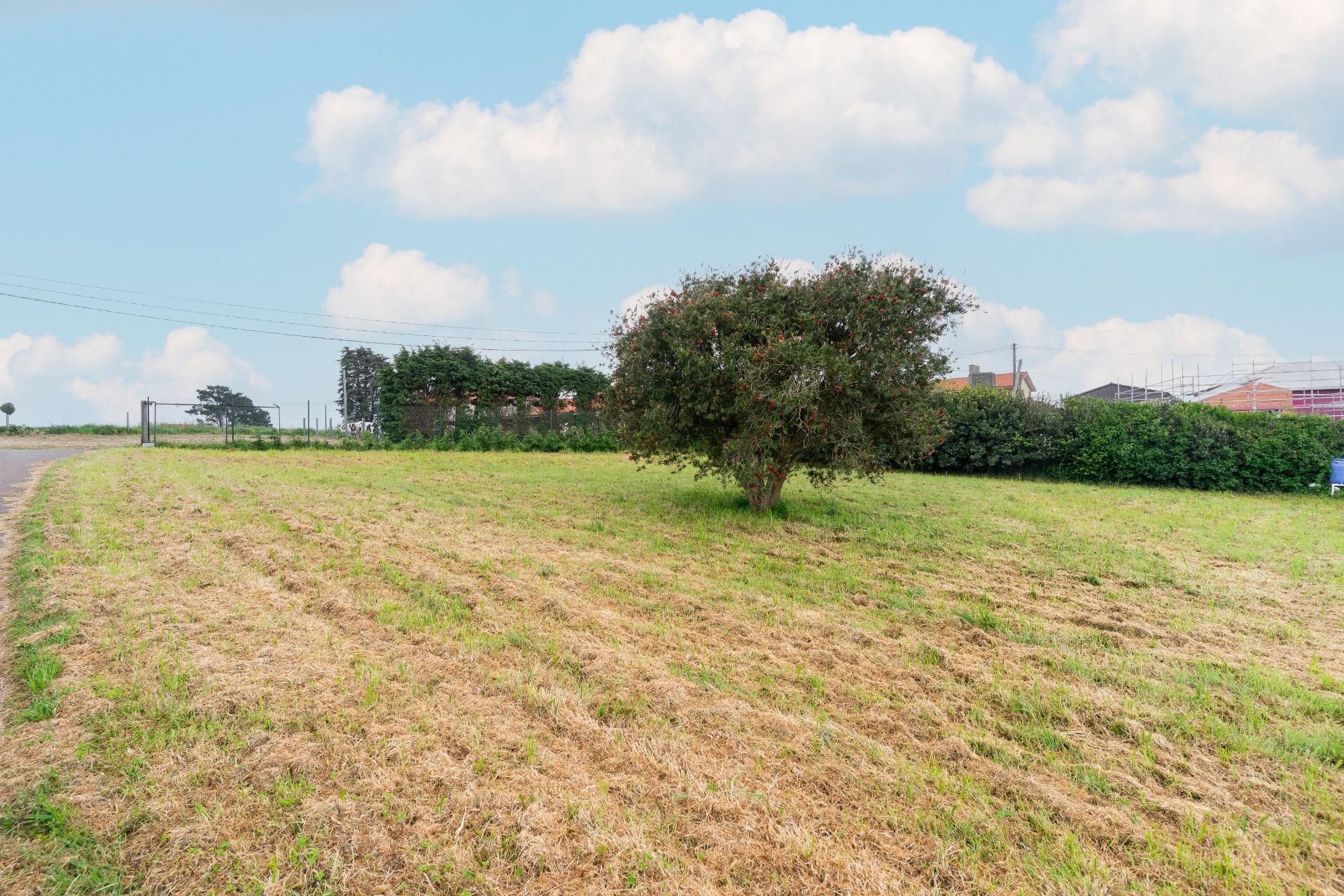 Fincas y solares-Venta-GozÃ³n-1717652-Foto-14