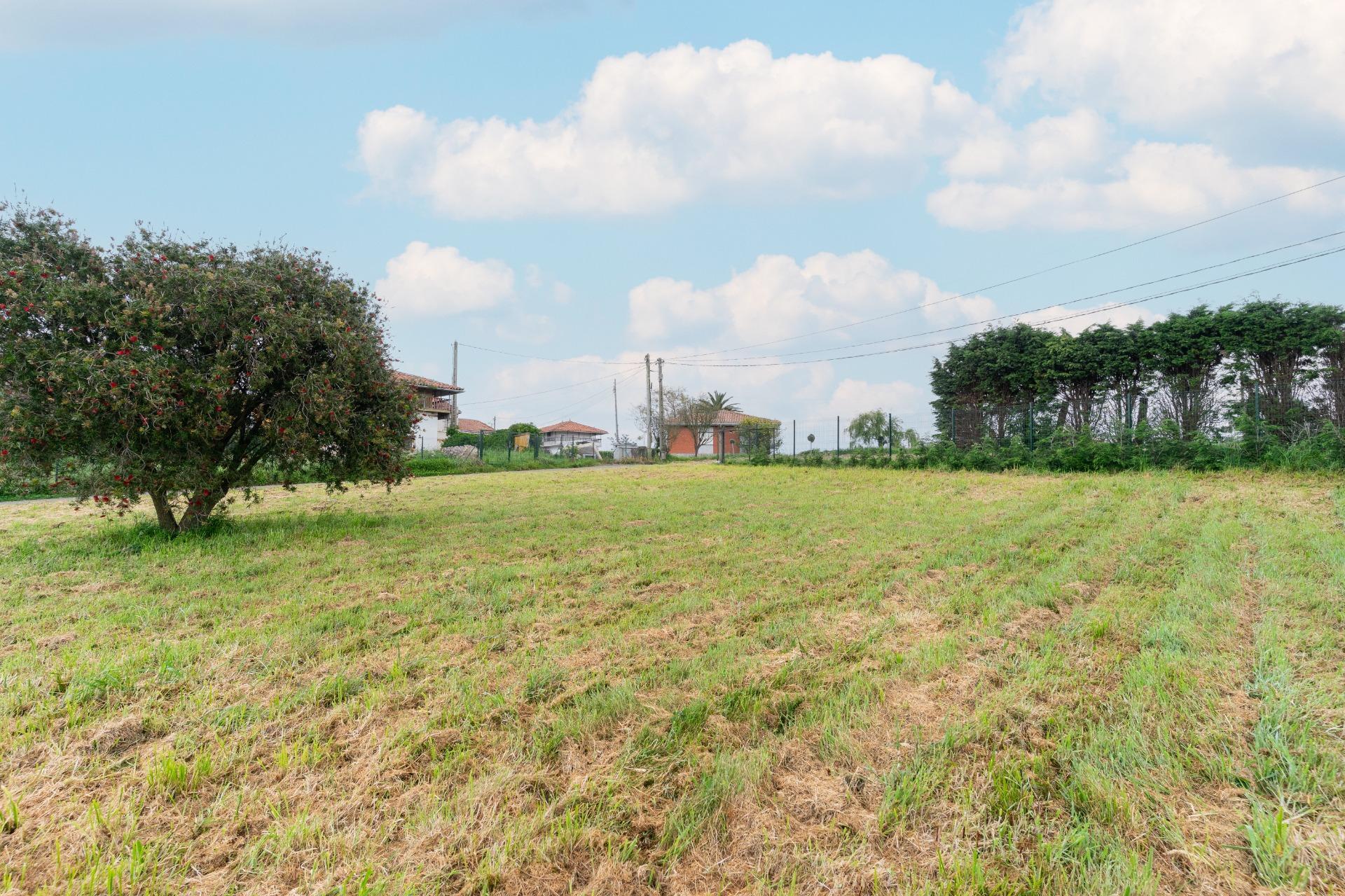 Fincas y solares-Venta-GozÃ³n-1717652-Foto-16