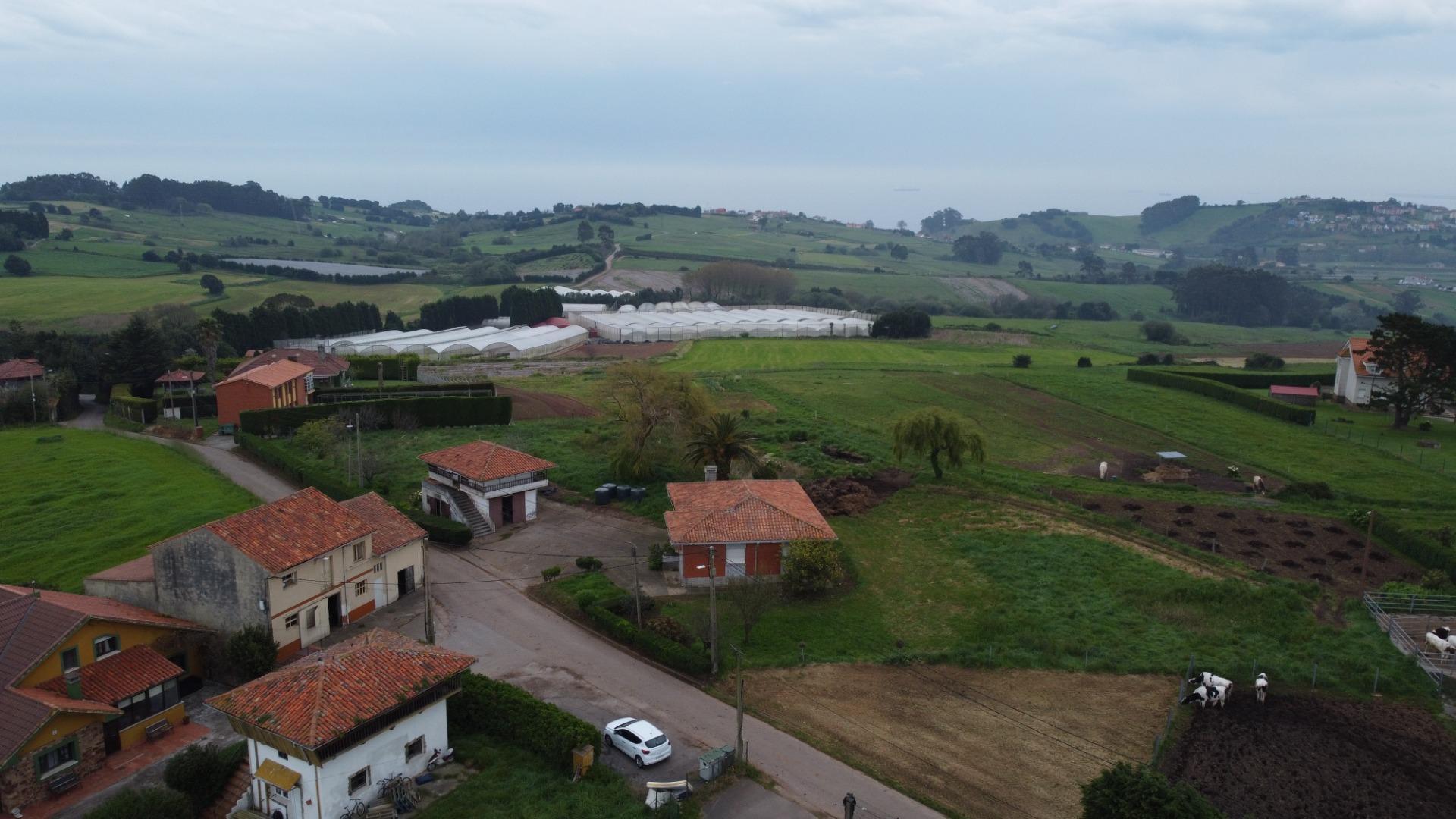 Fincas y solares-Venta-GozÃ³n-1717652-Foto-22