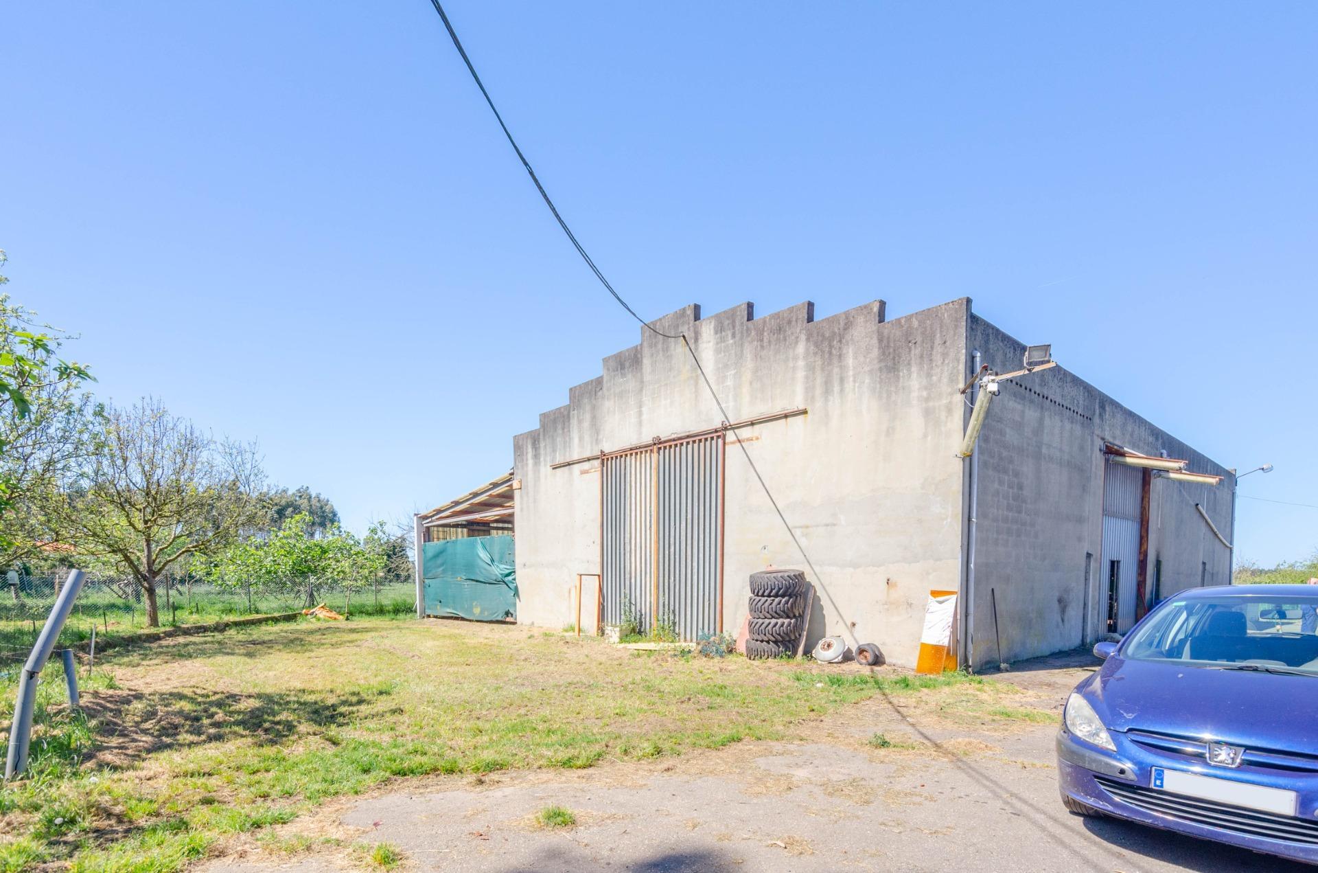 Naves-Venta-CarreÃ±o-1091367-Foto-3