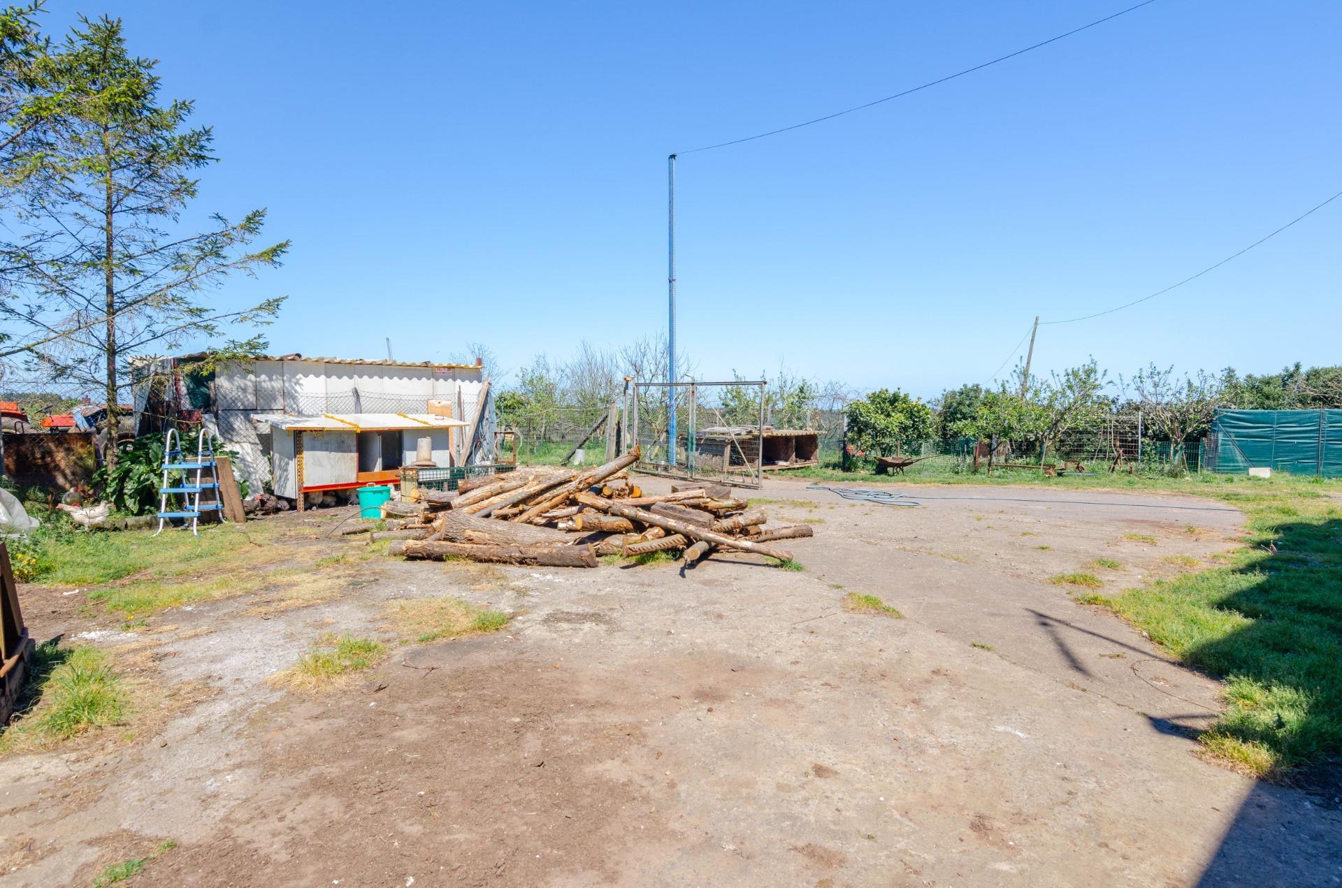 Naves-Venta-CarreÃ±o-1091367-Foto-25