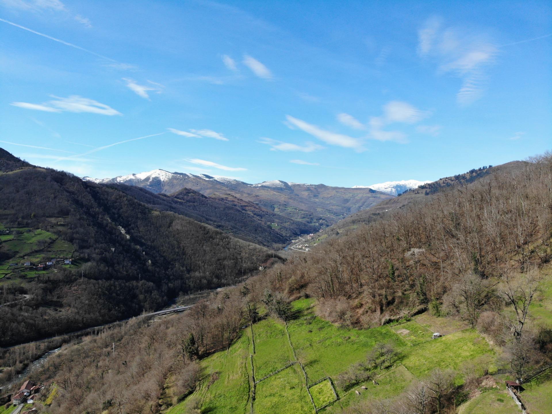 Casas o chalets-Venta-Aller-1102916-Foto-31