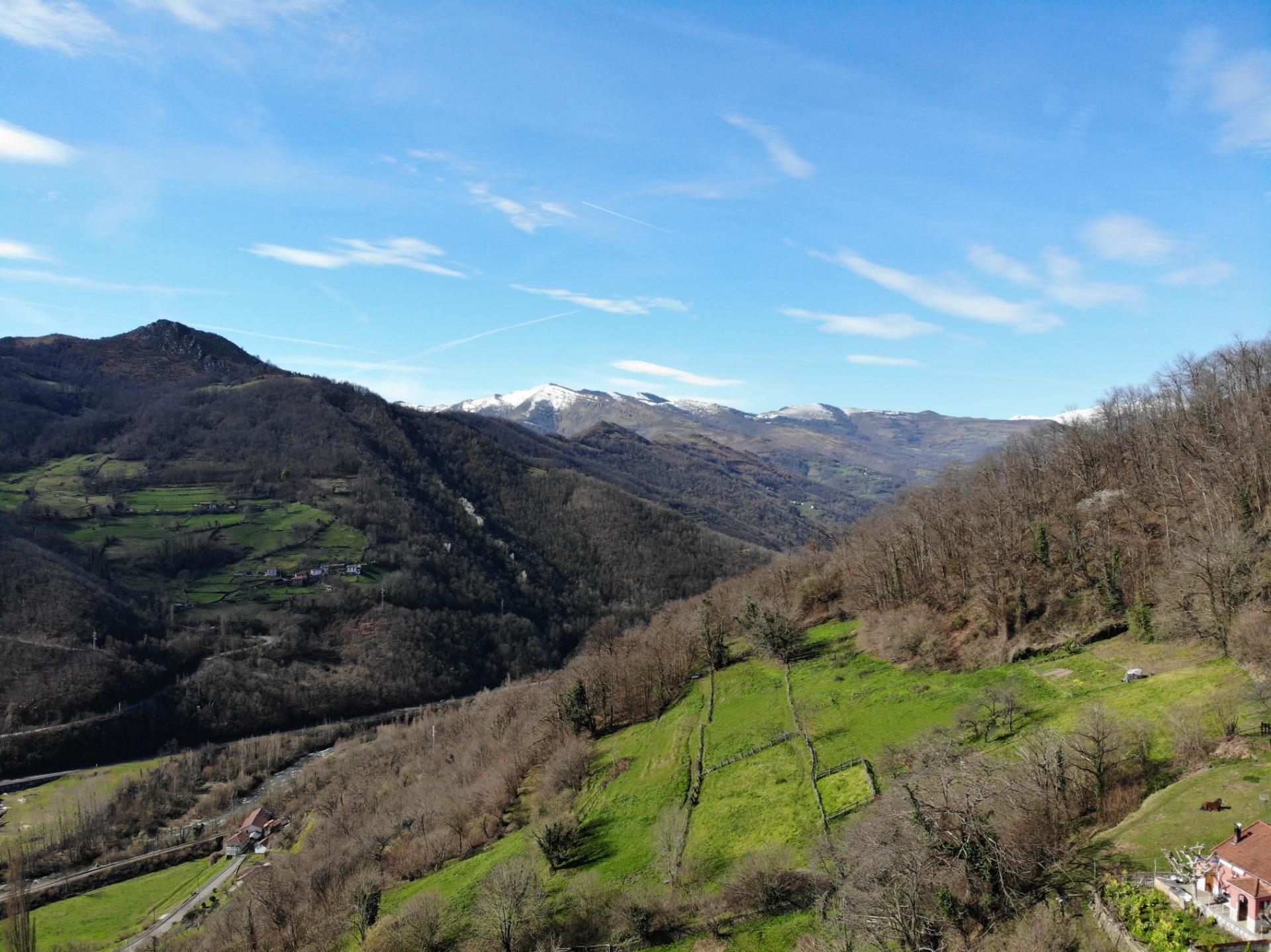 Casas o chalets-Venta-Aller-1102916-Foto-36