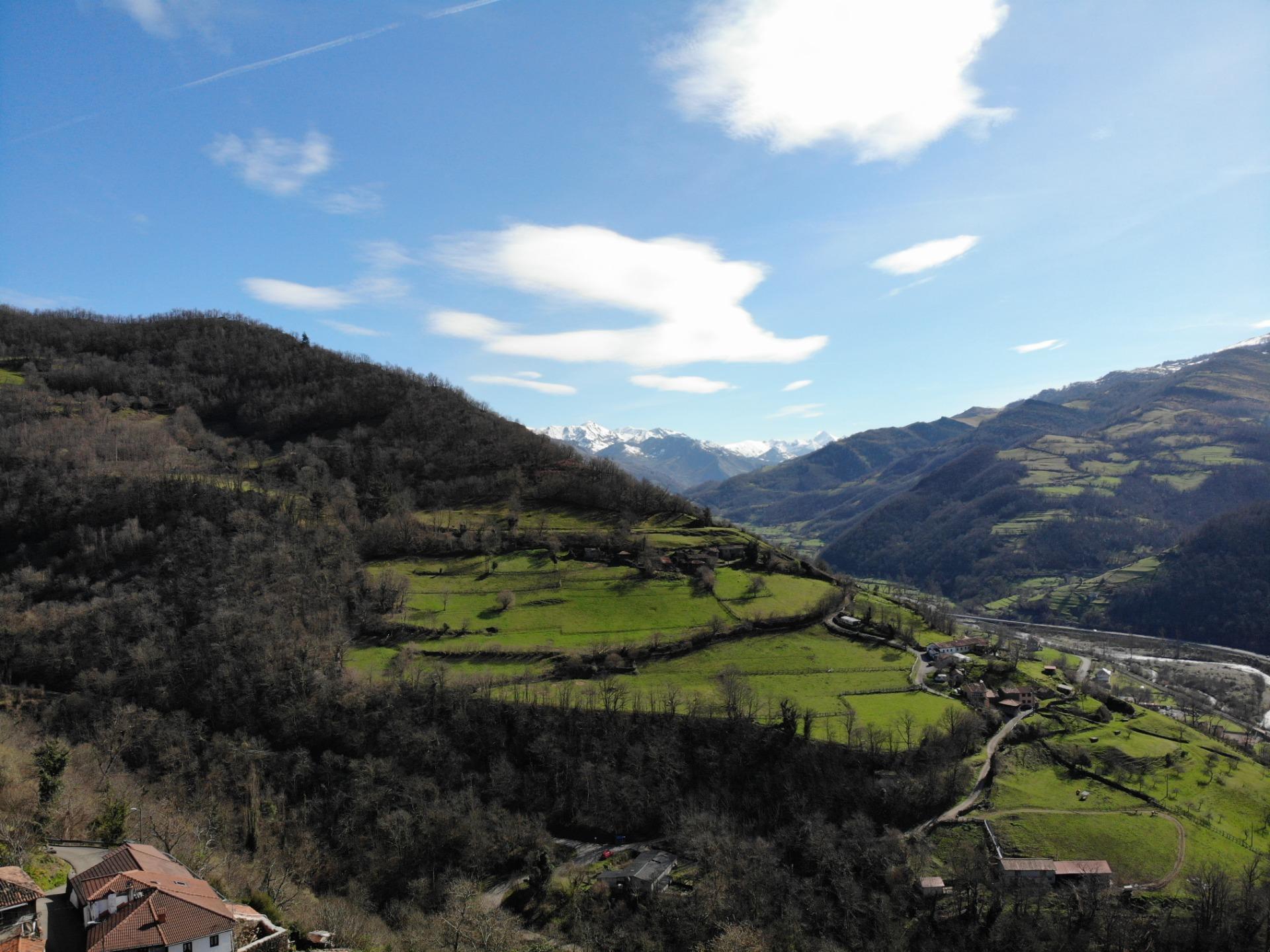 Casas o chalets-Venta-Aller-1102916-Foto-33