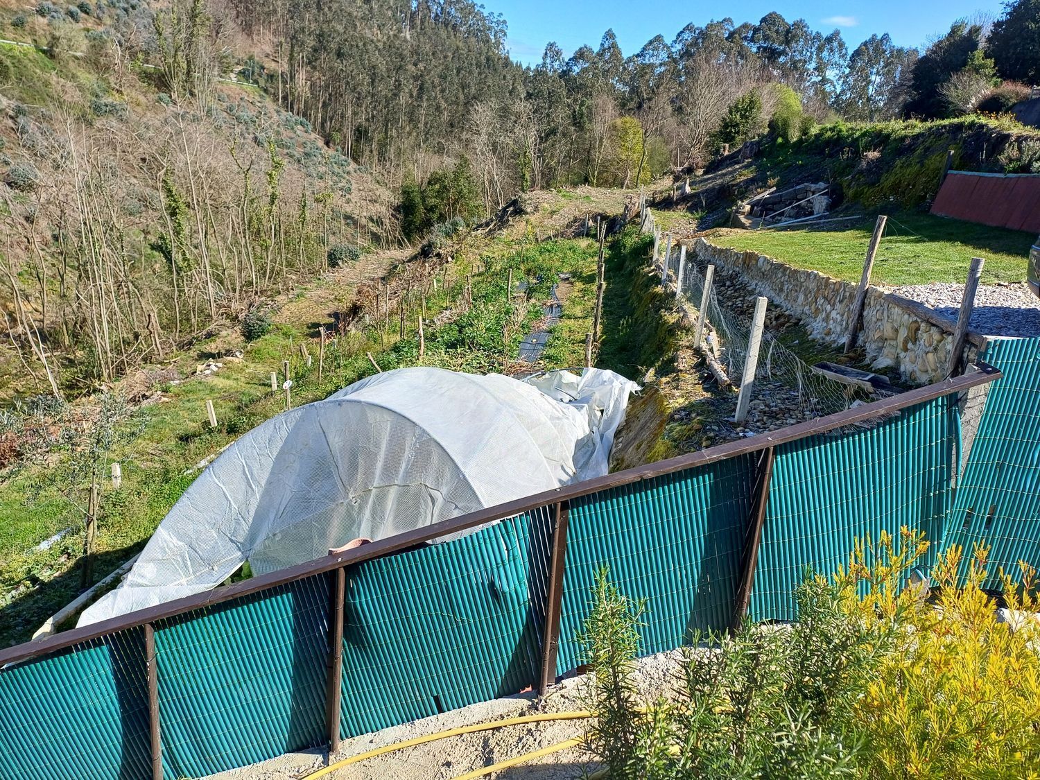 Casas o chalets-Venta-Muros de NalÃ³n-1682083-Foto-16