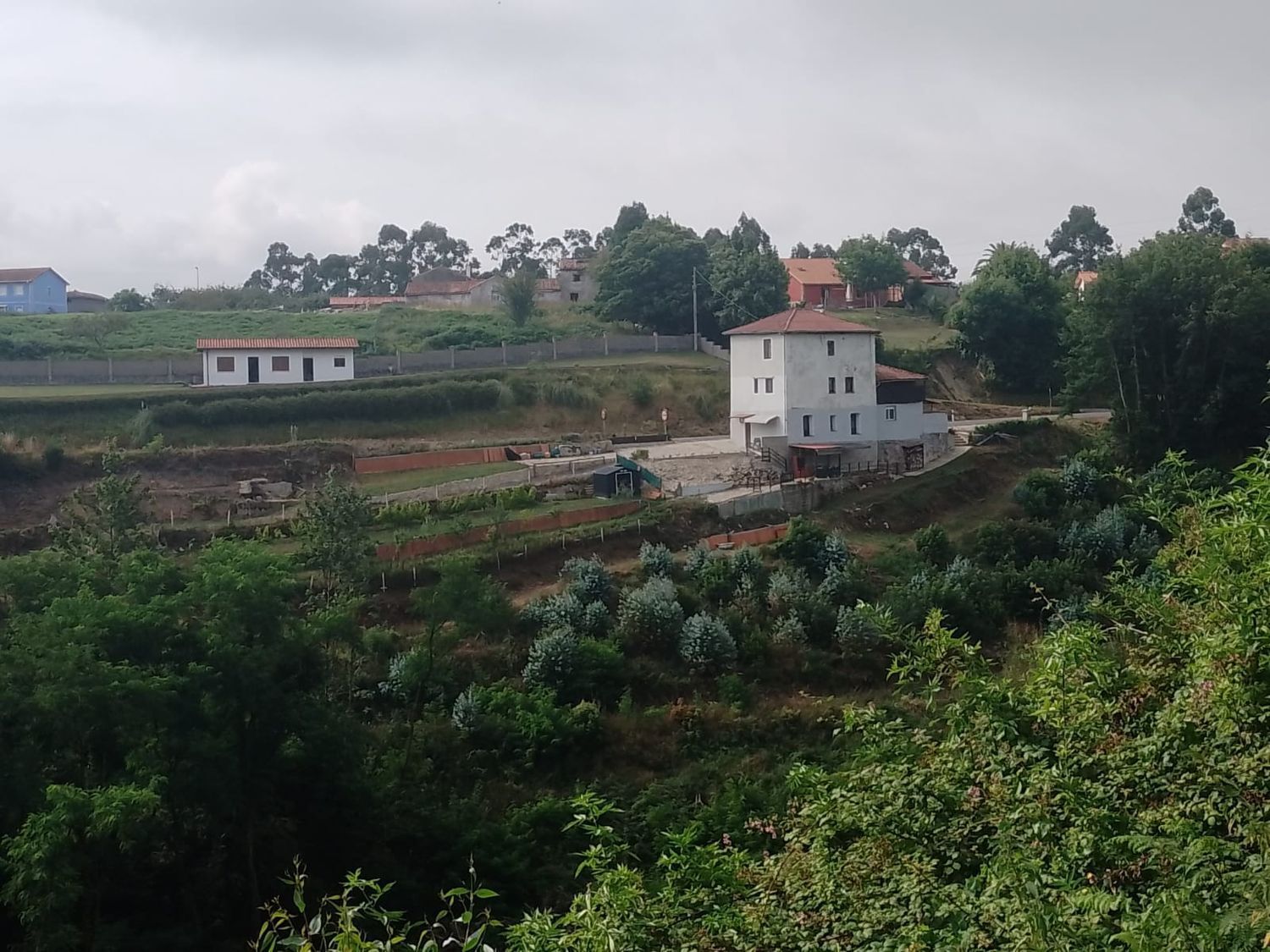 Casas o chalets-Venta-Muros de NalÃ³n-1682083-Foto-75