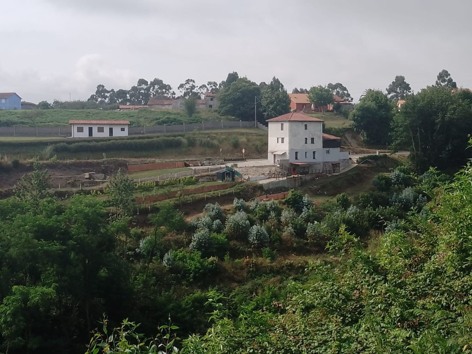 Casas o chalets-Venta-Muros de NalÃ³n-1682083-Foto-77