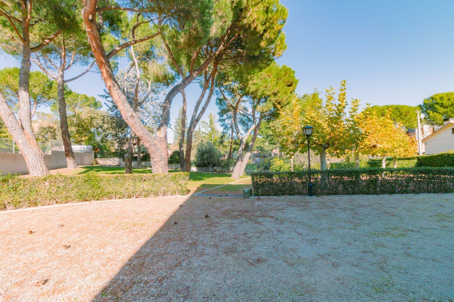 Fincas y solares-Venta-Torrelodones-1767087-Foto-5